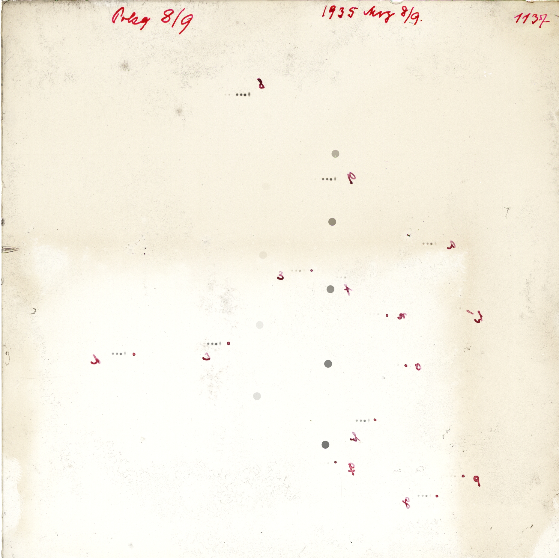 Scan GR01137