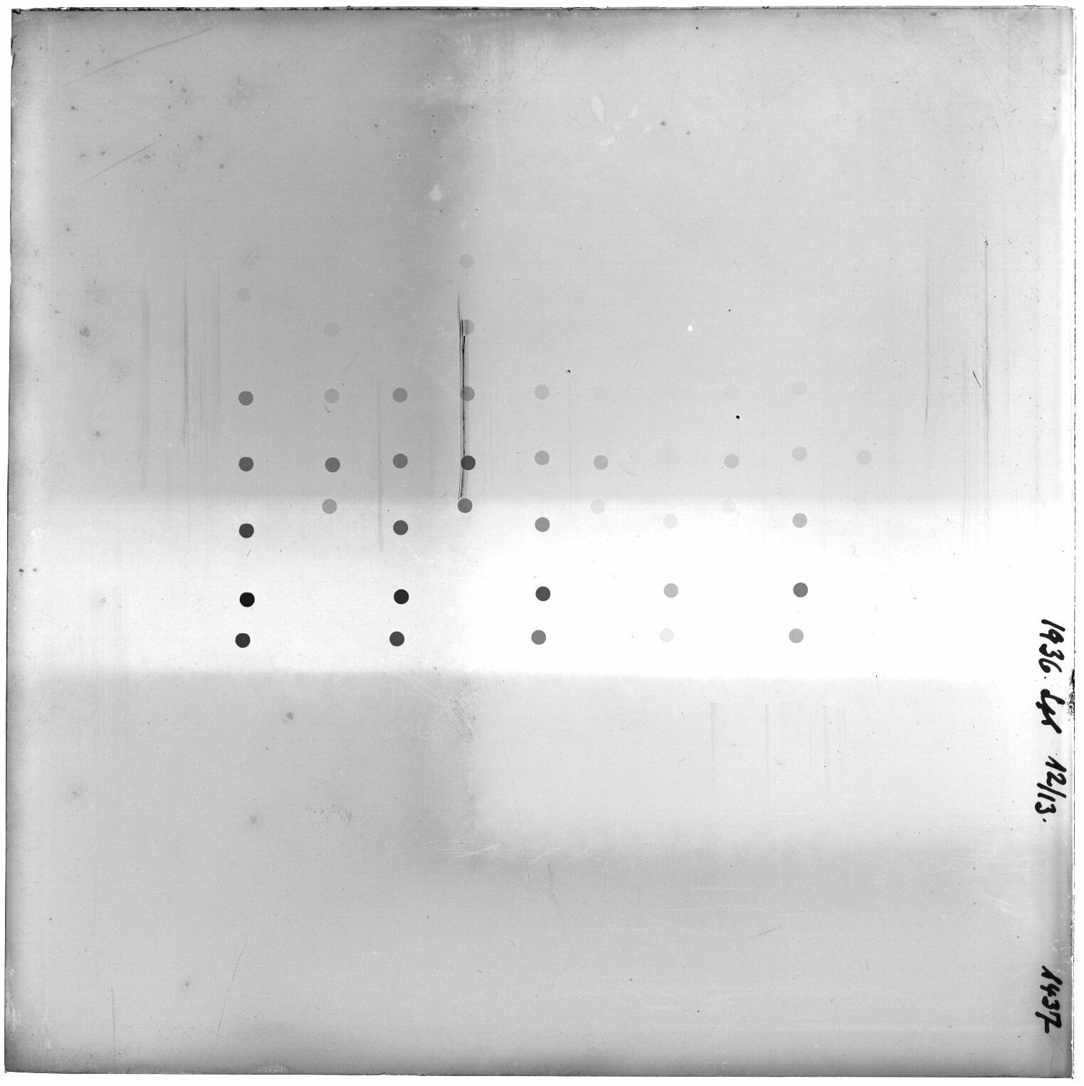 Scan GR01437