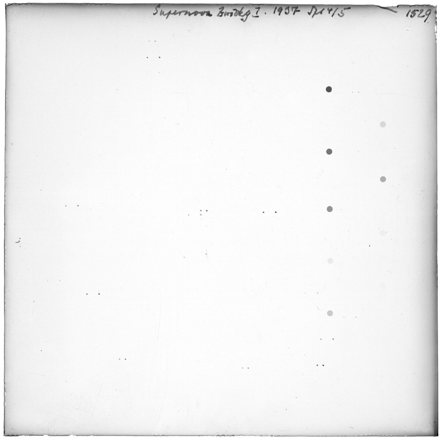 Scan GR01529