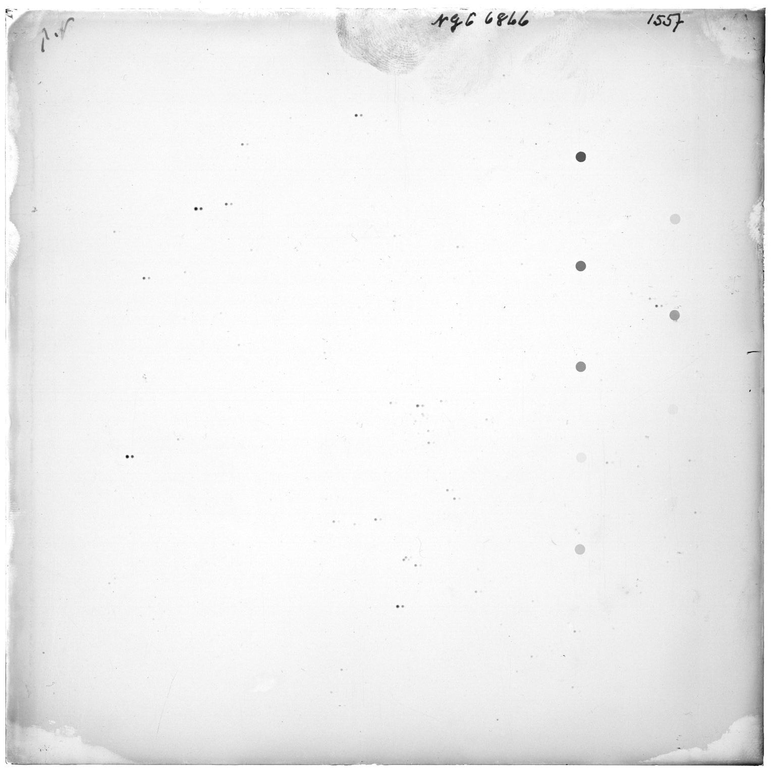 Scan GR01557