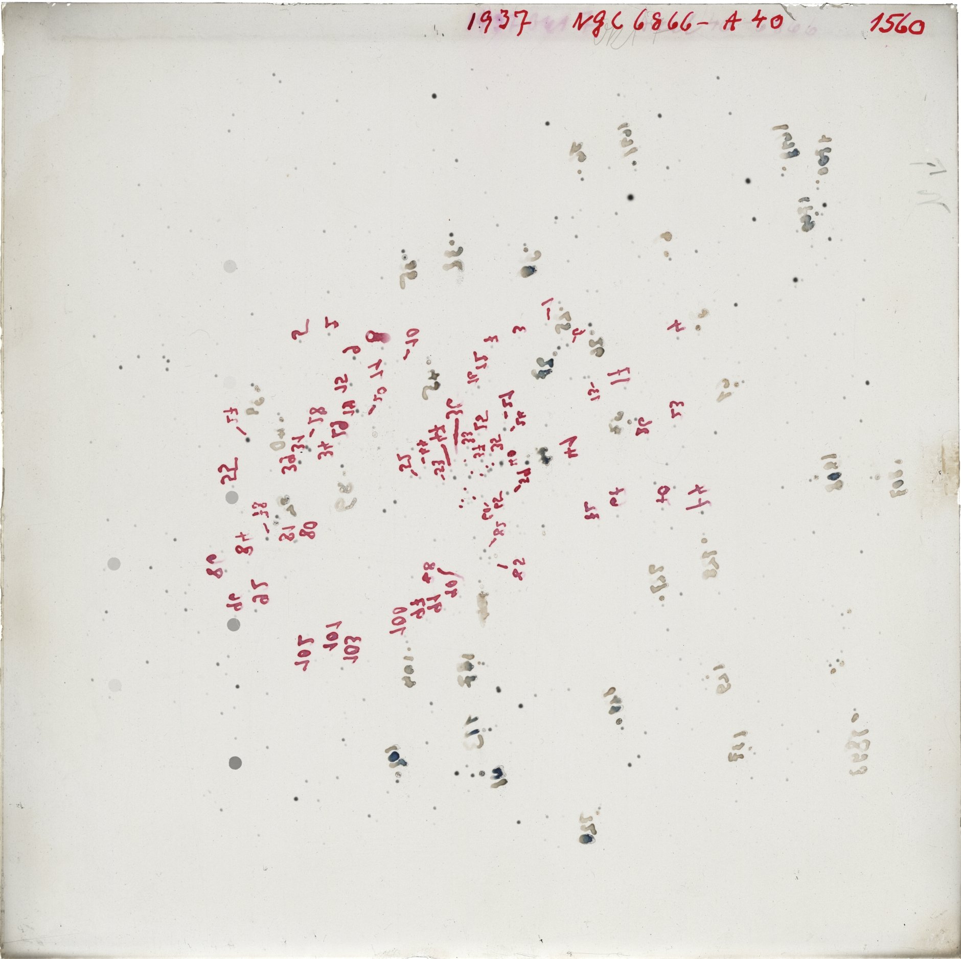 Scan GR01560
