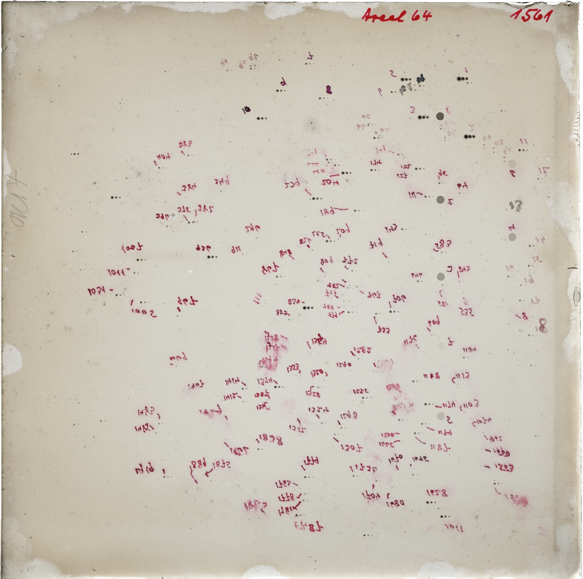 Scan GR01561