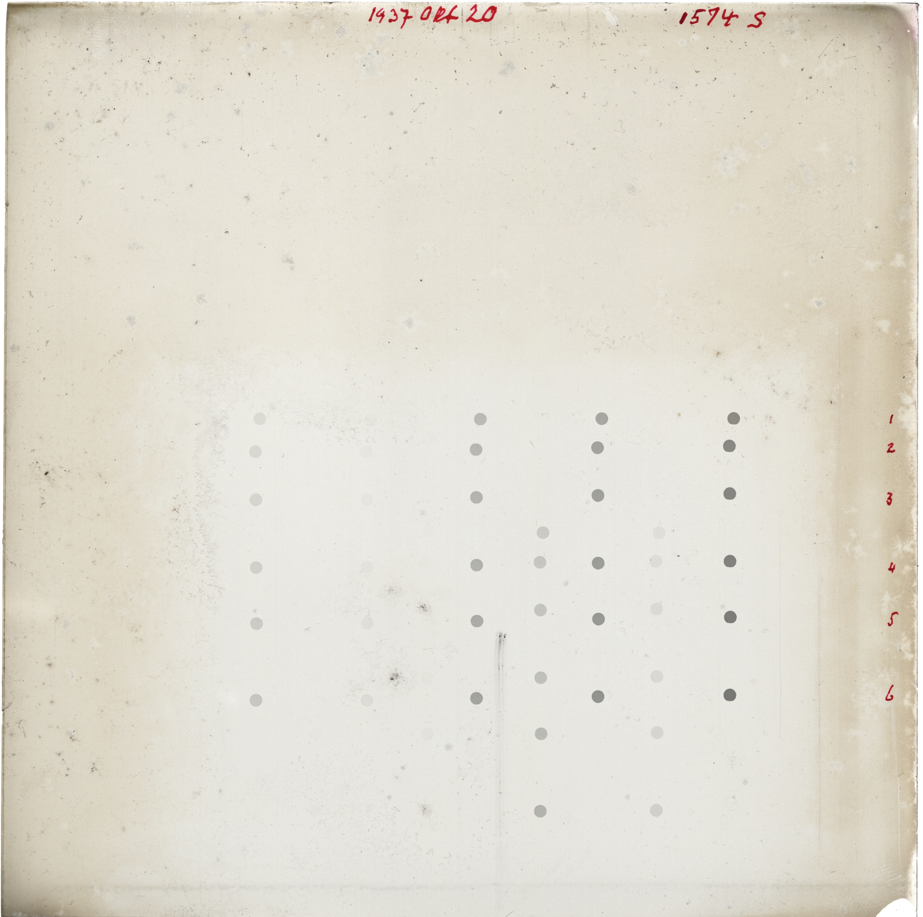 Scan GR01574