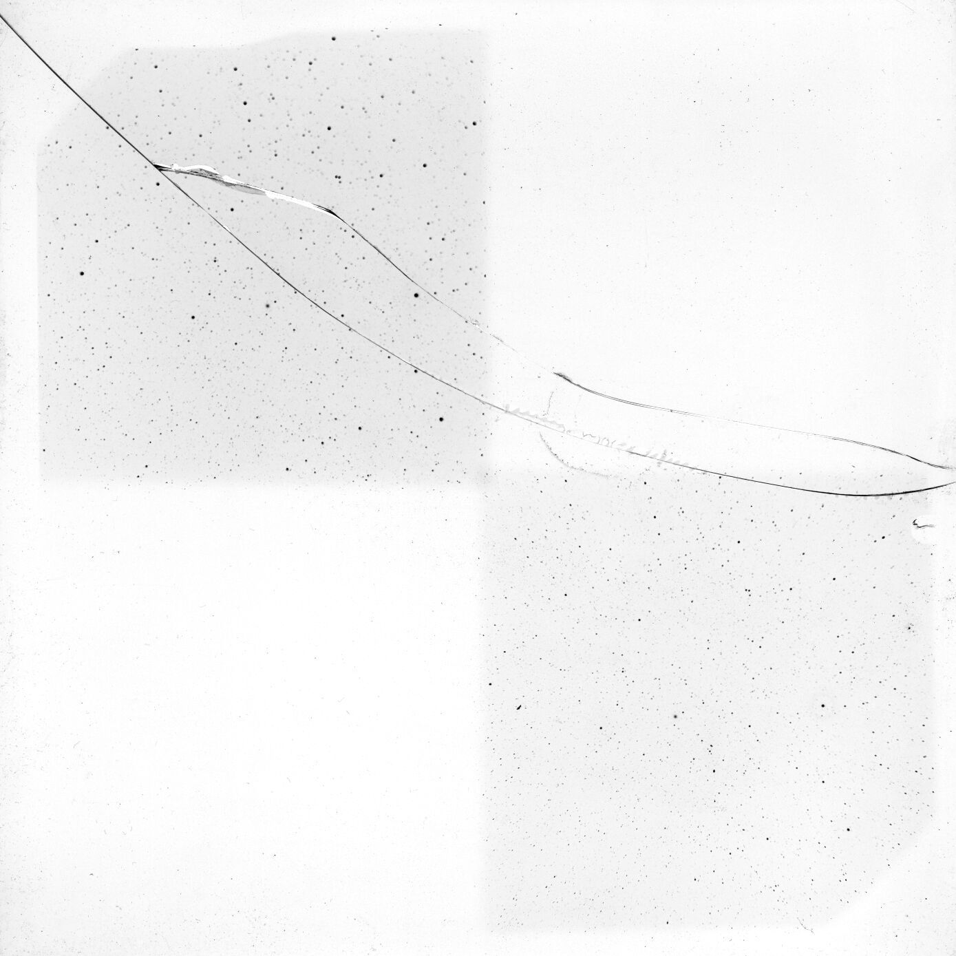 Scan GRk0269
