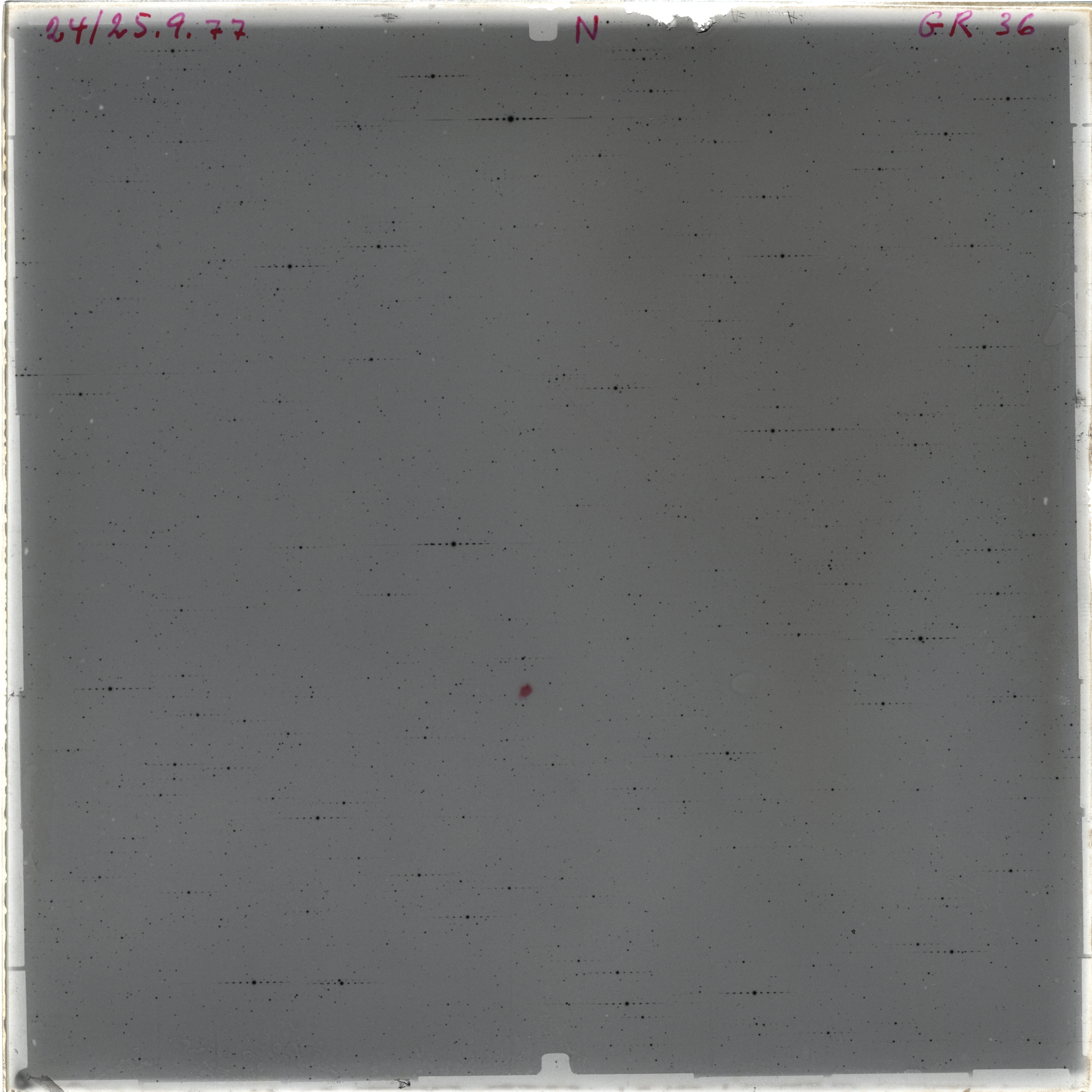 Scan GRy0036