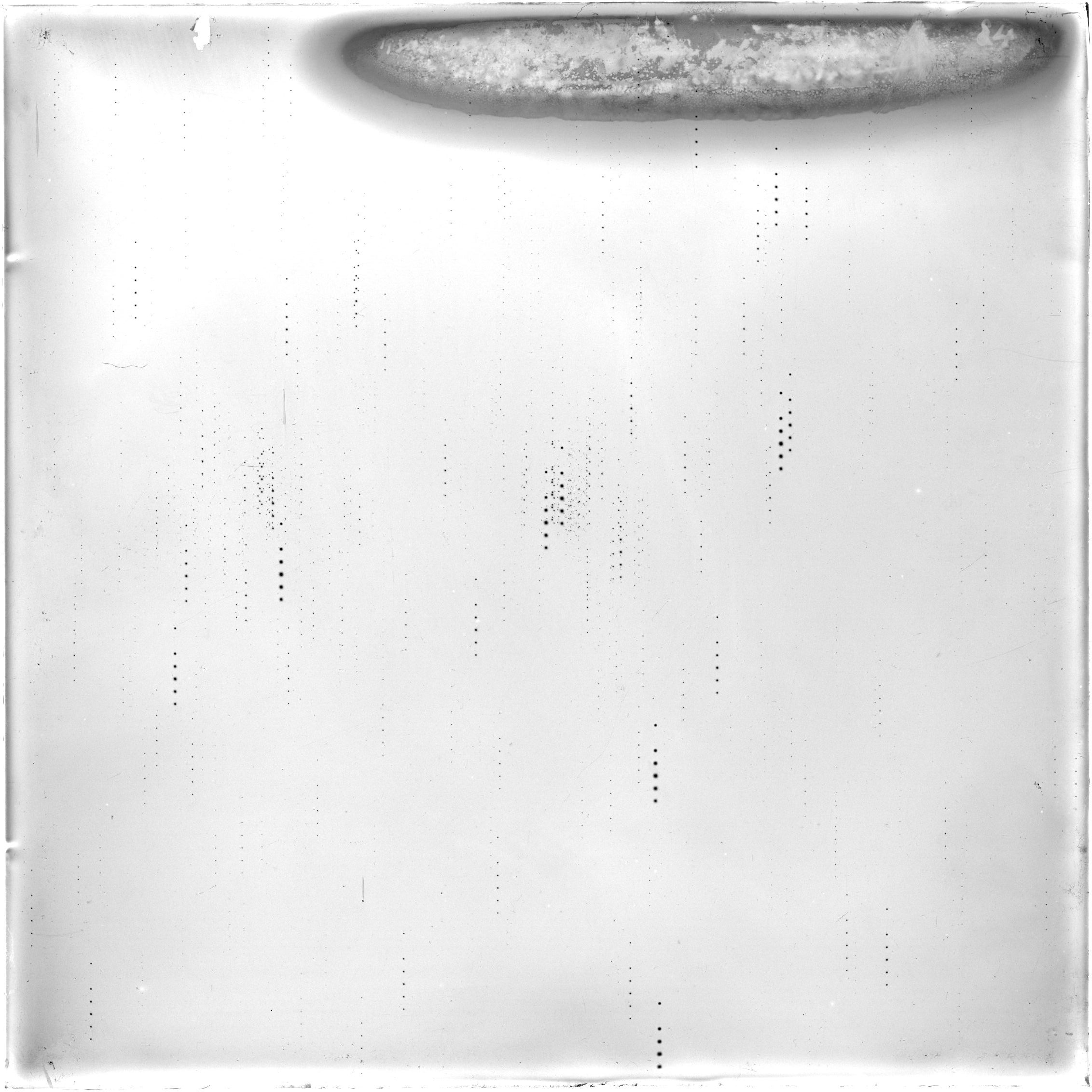 Scan GR00084