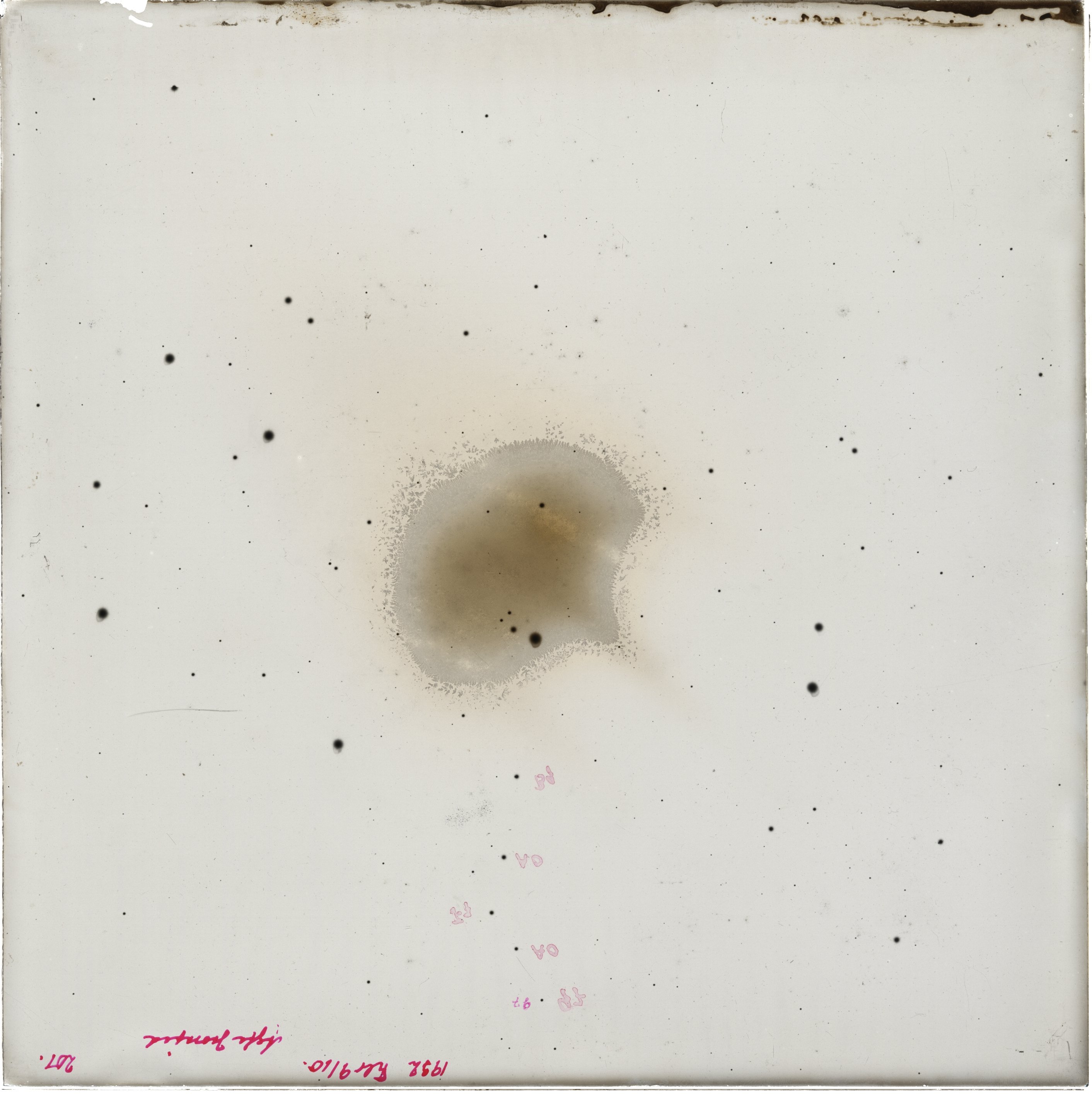 Scan GR00501