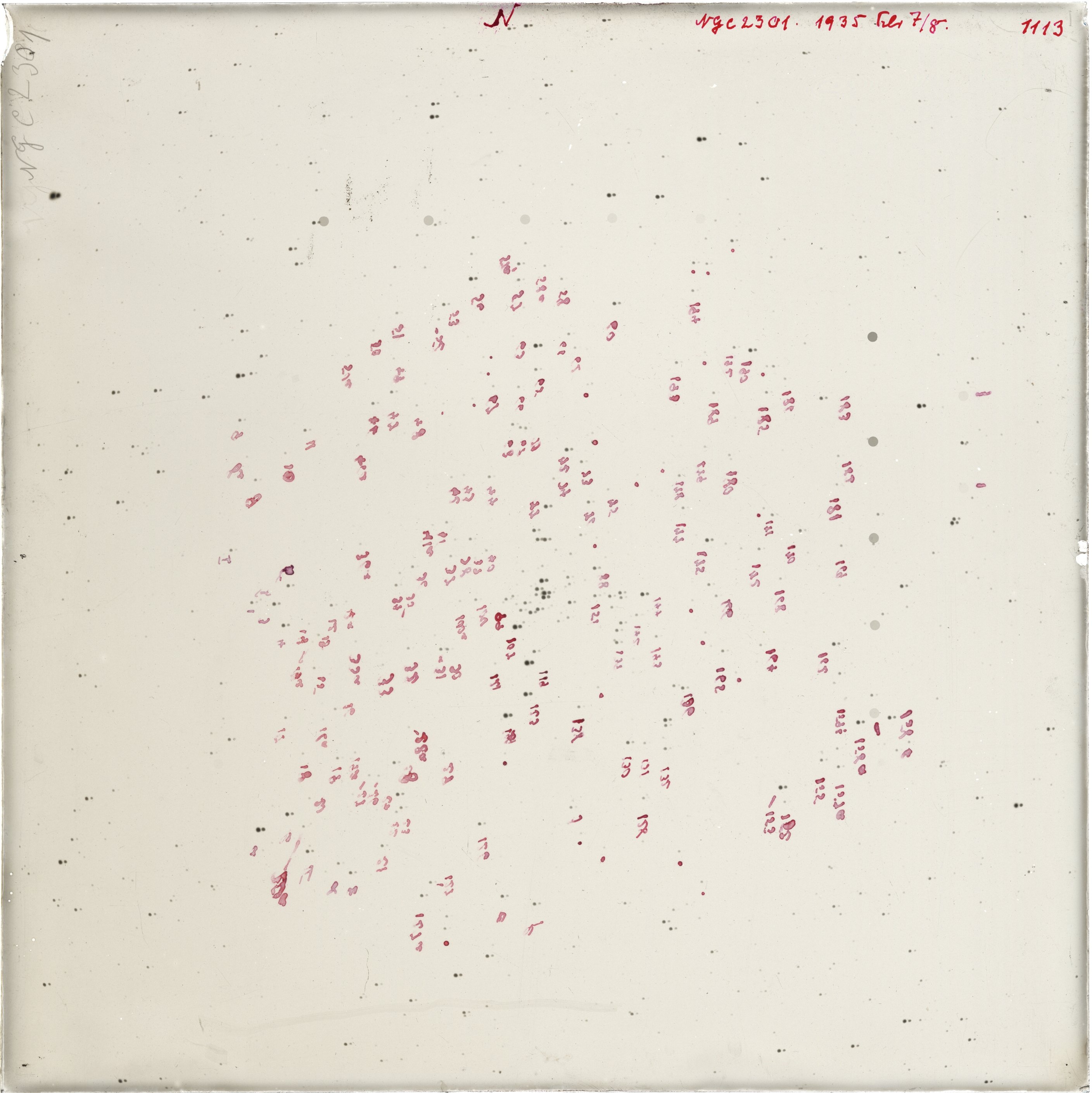 Scan GR01113a