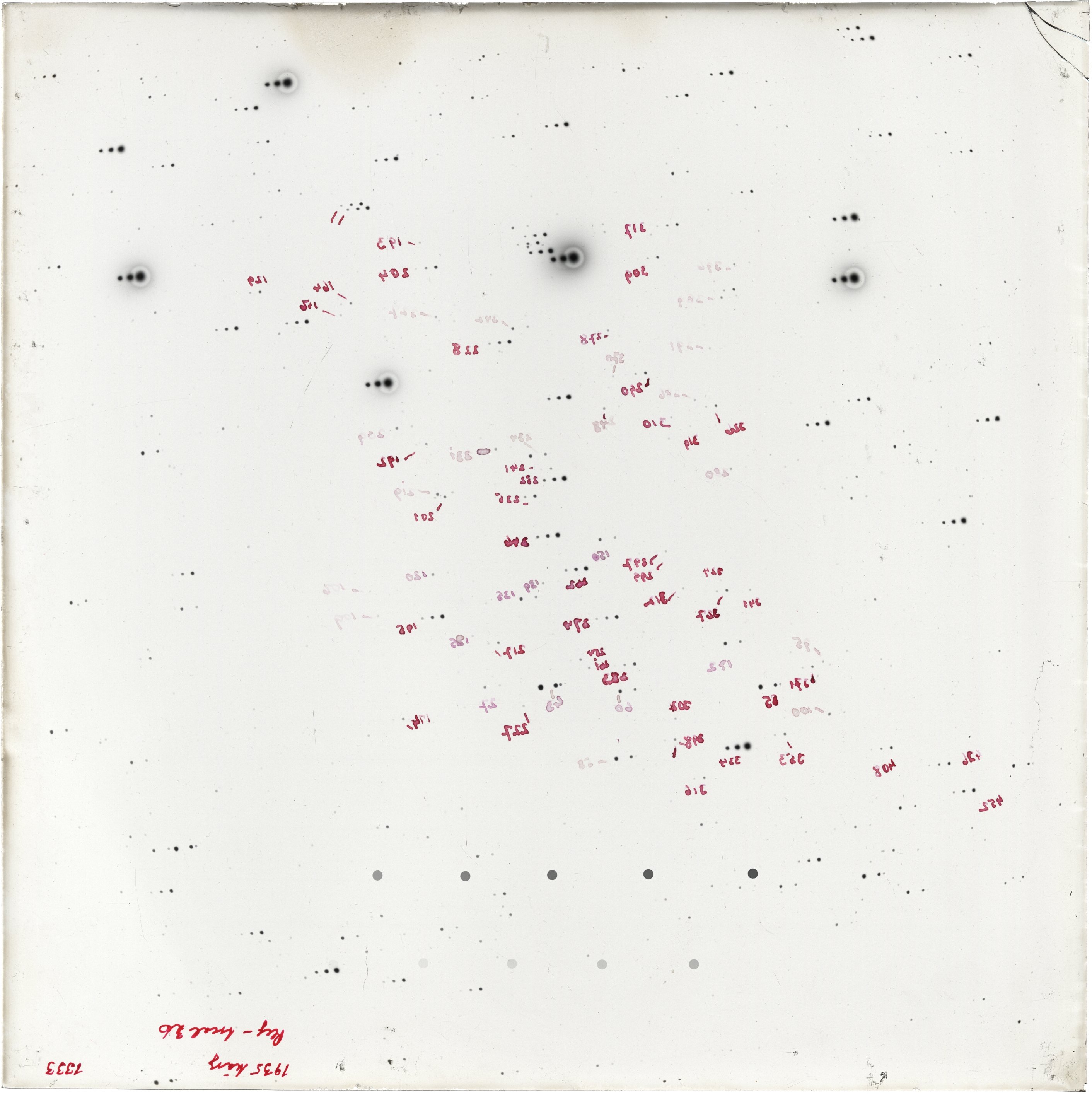 Scan GR01333