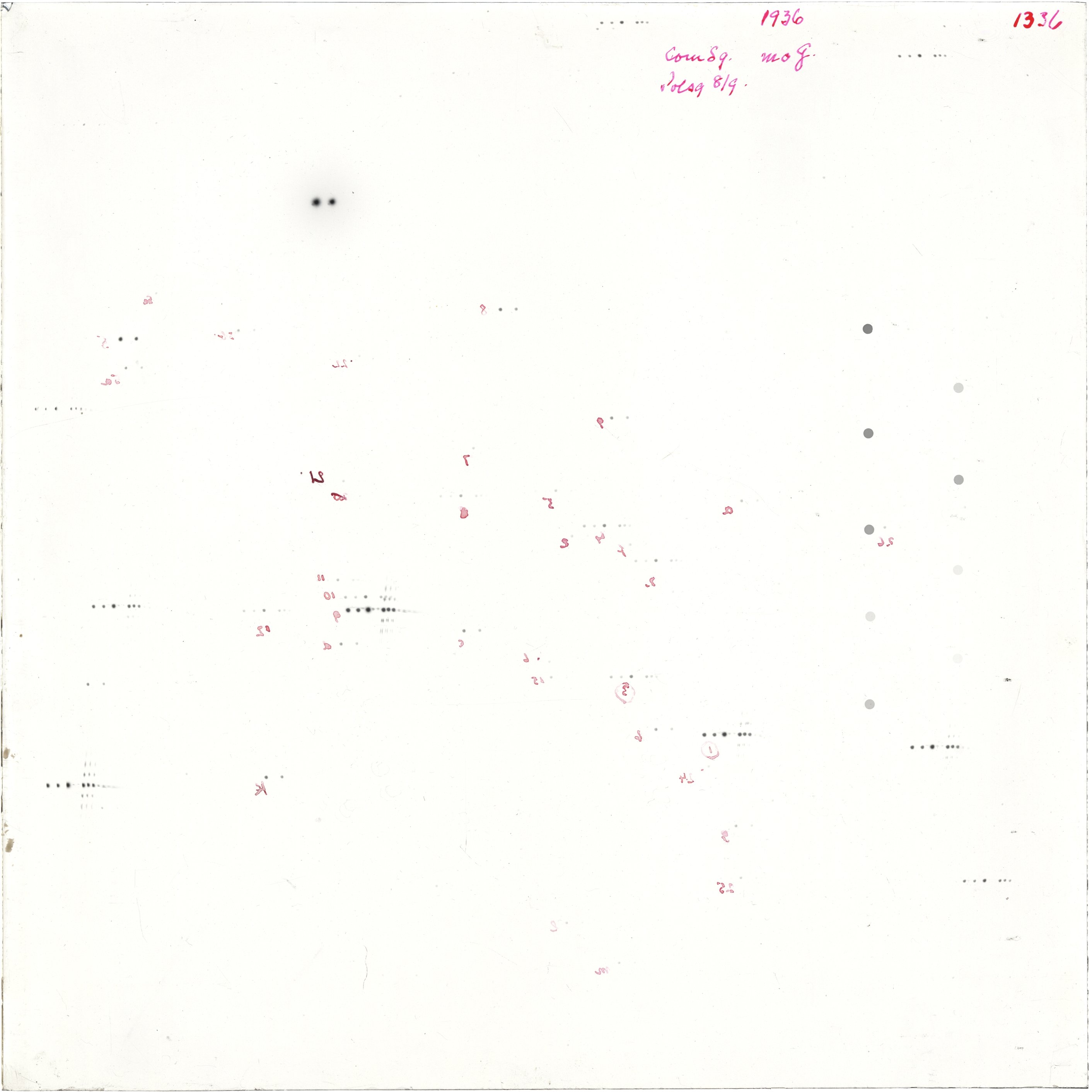 Scan GR01336