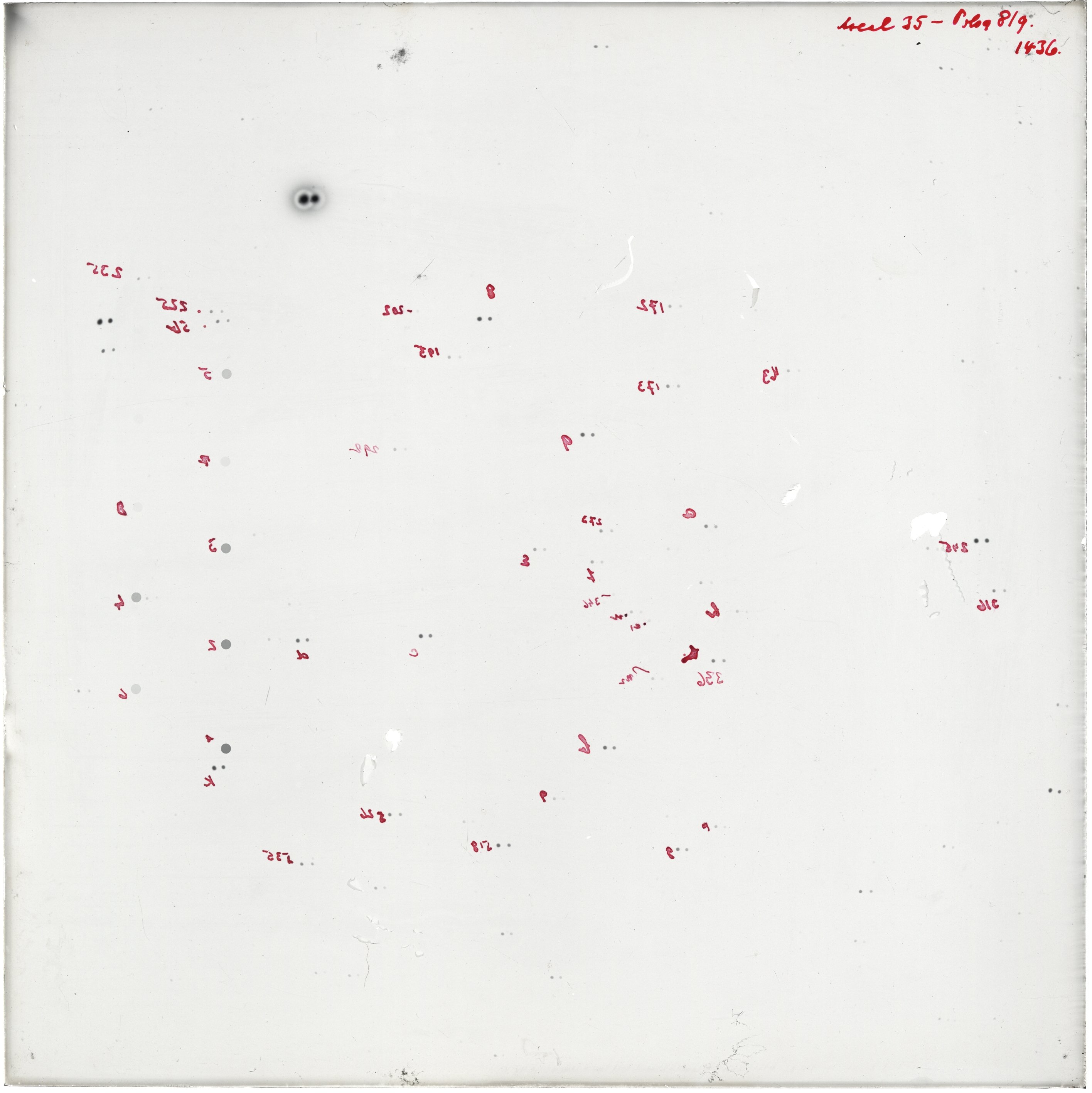 Scan GR01436
