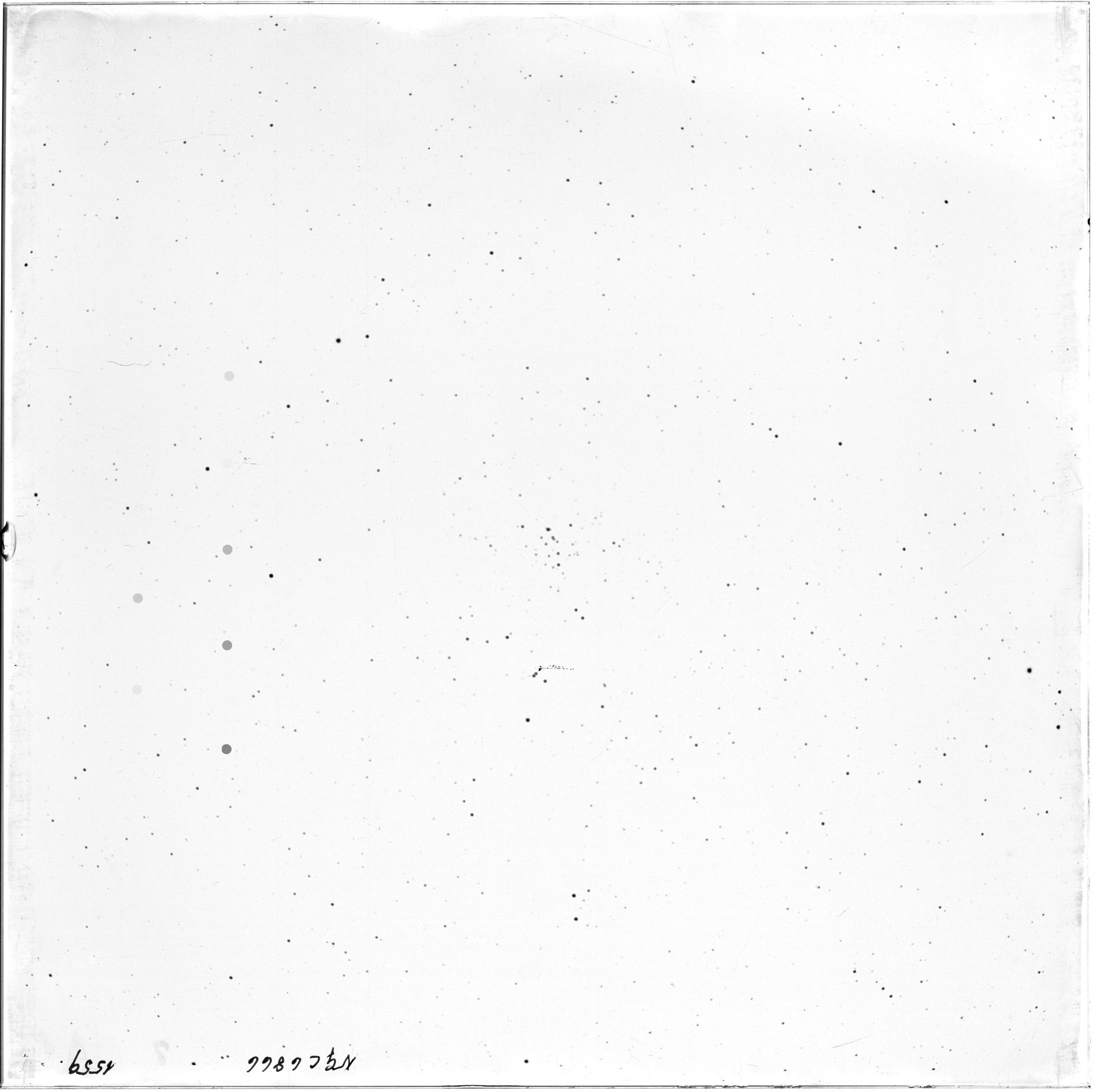 Scan GR01559