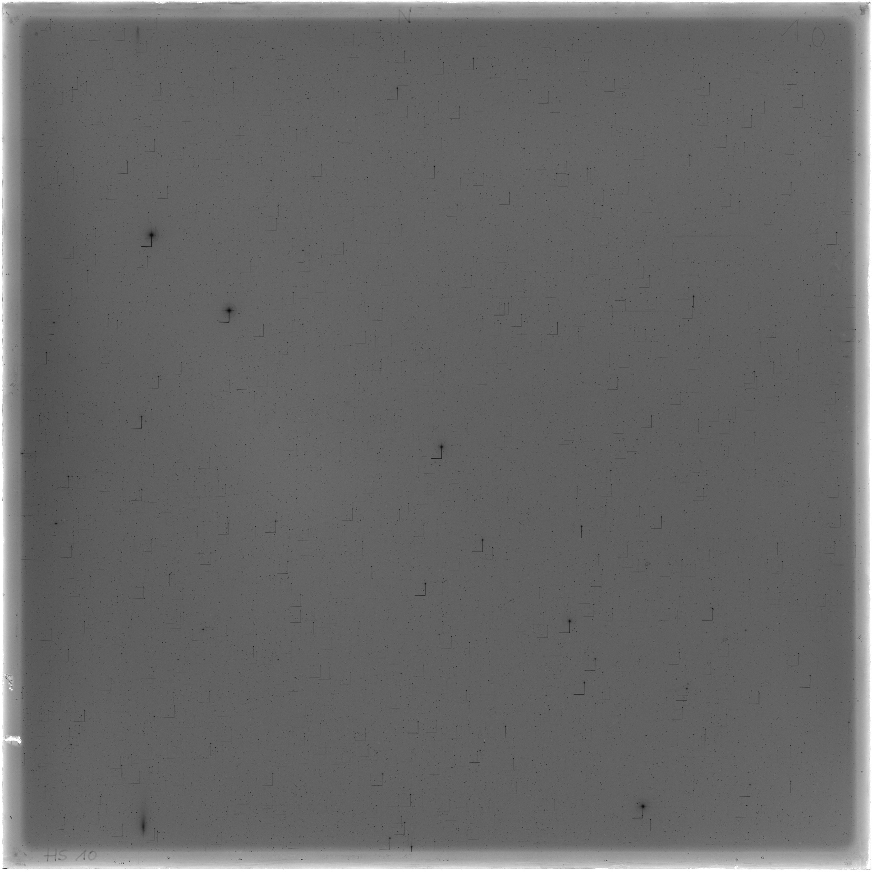 Scan HS00010