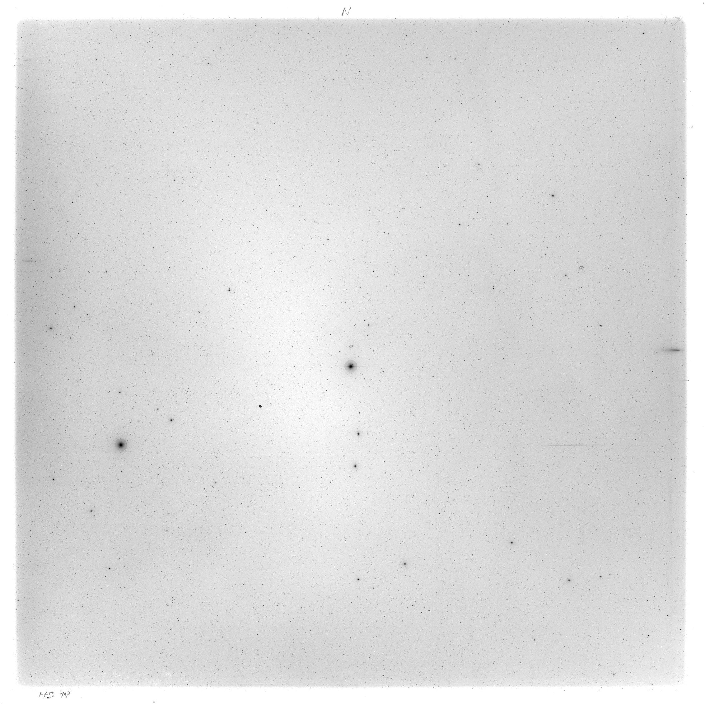 Scan HS00019