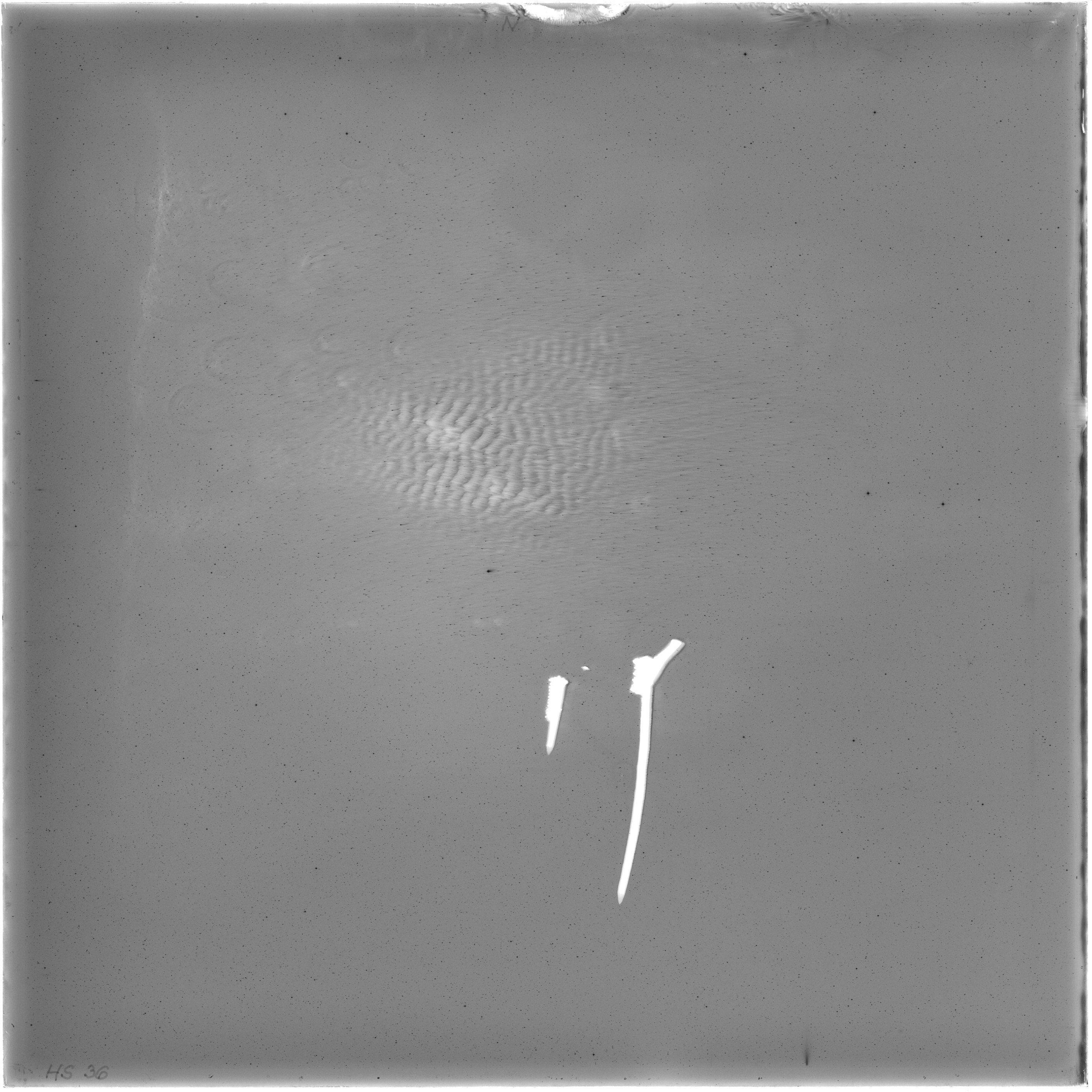 Scan HS00036