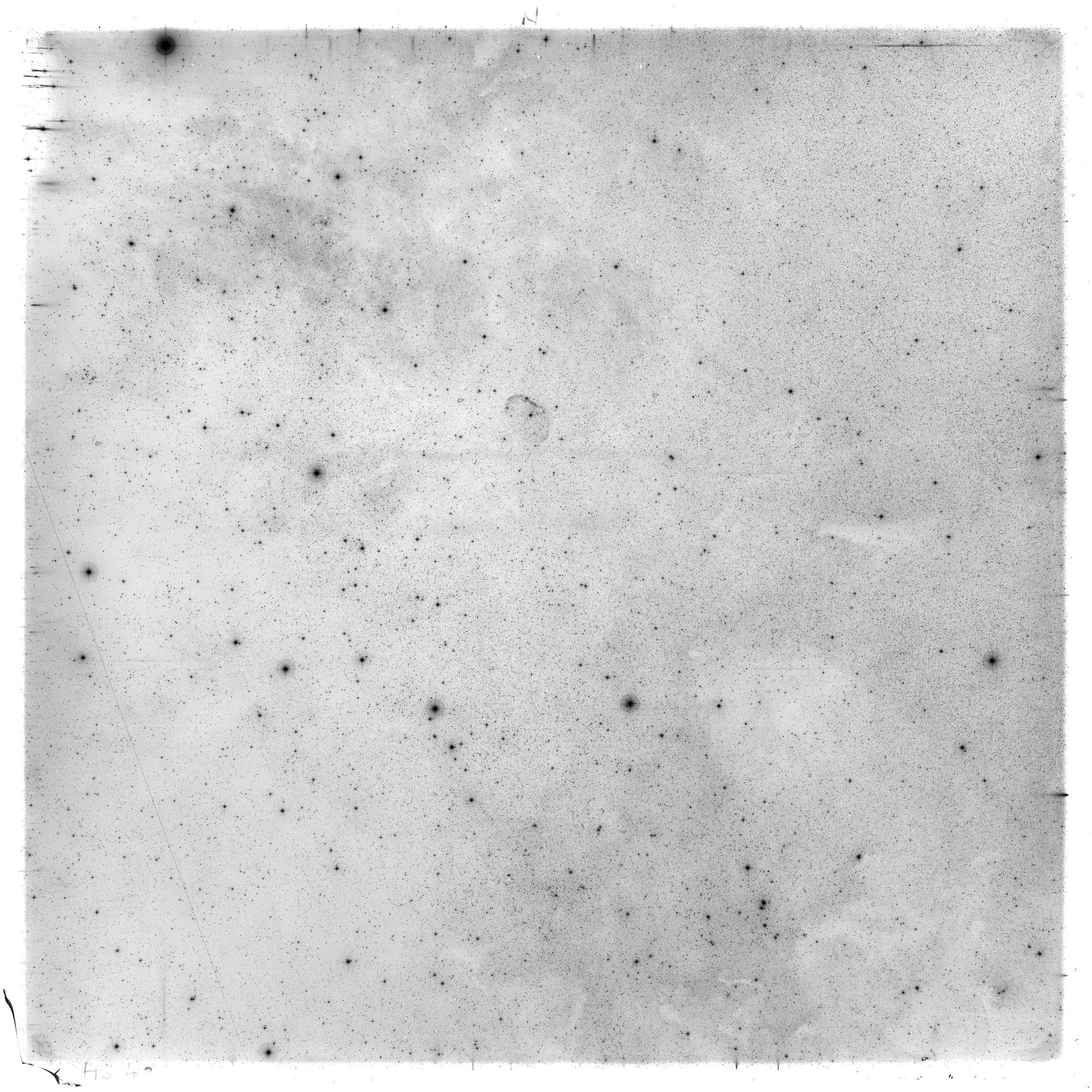 Scan HS00048