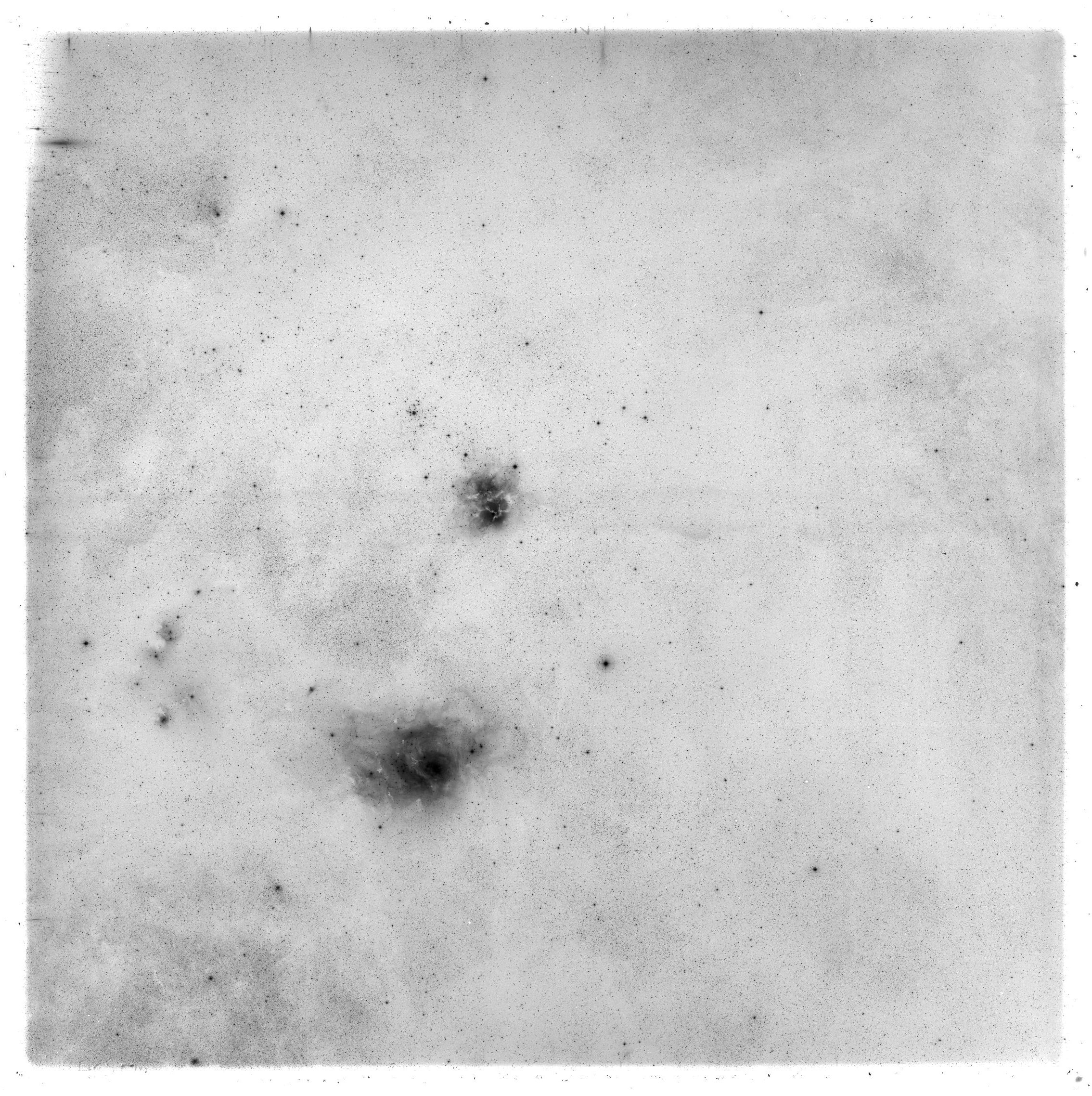 Scan HS00054