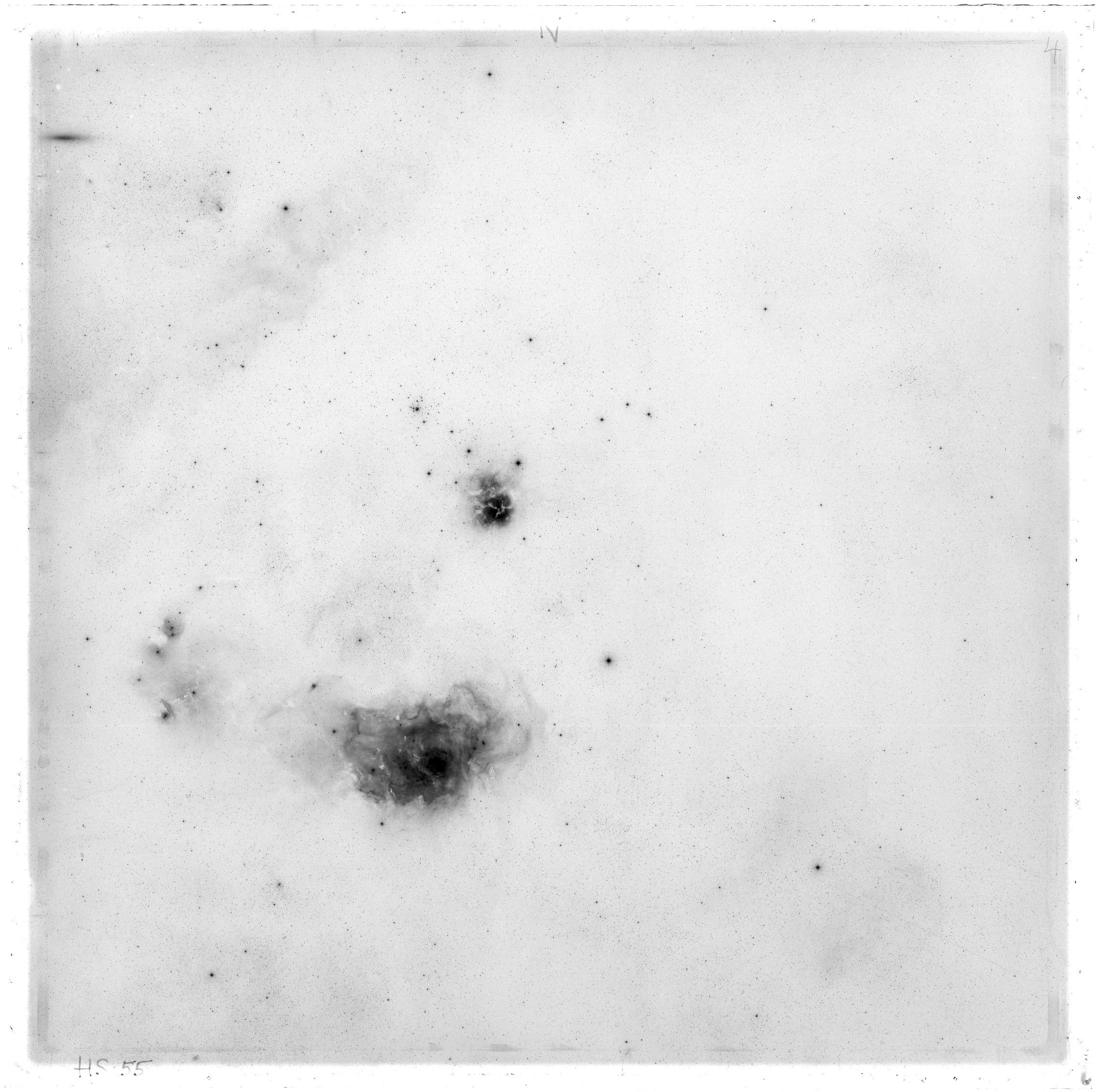 Scan HS00055