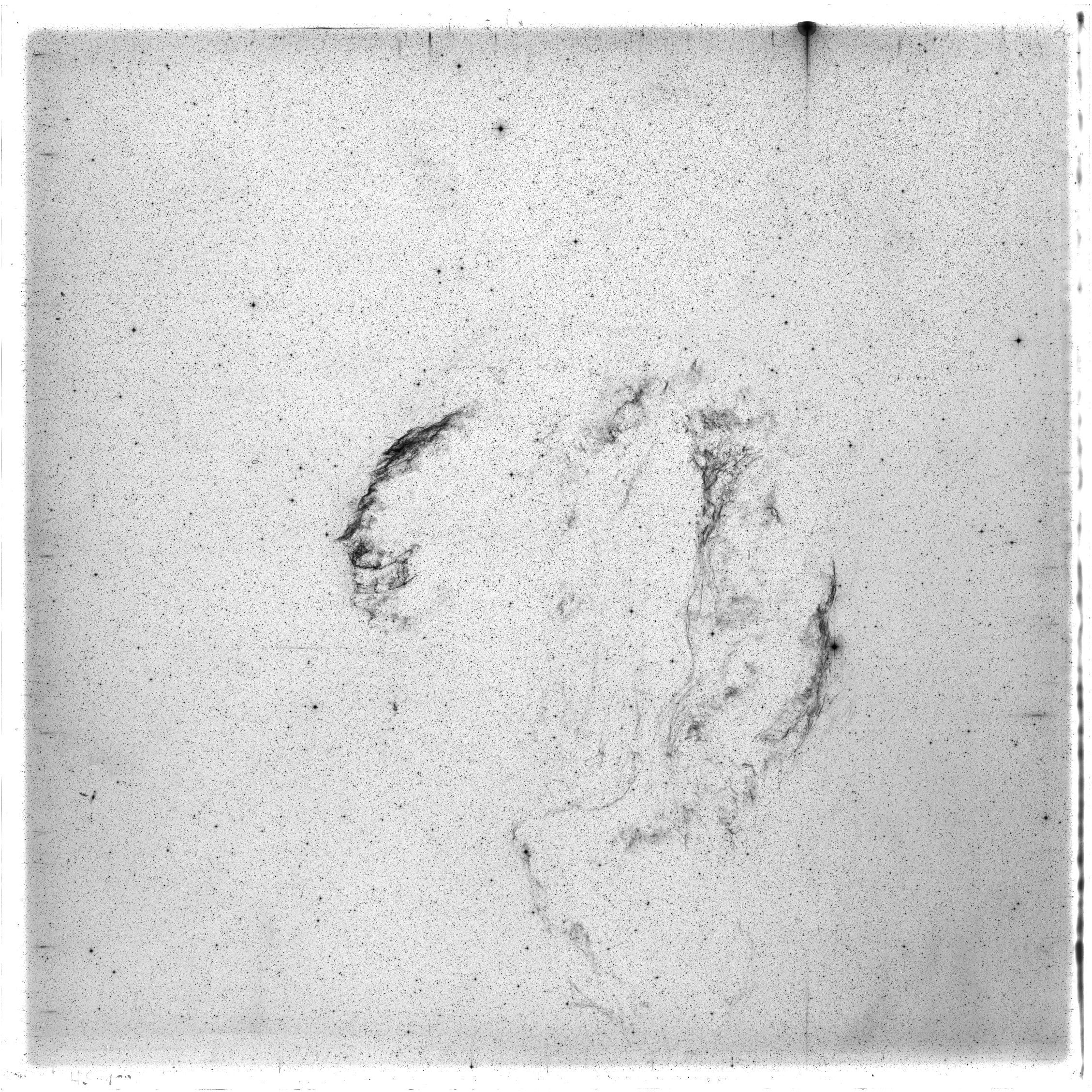 Scan HS00100