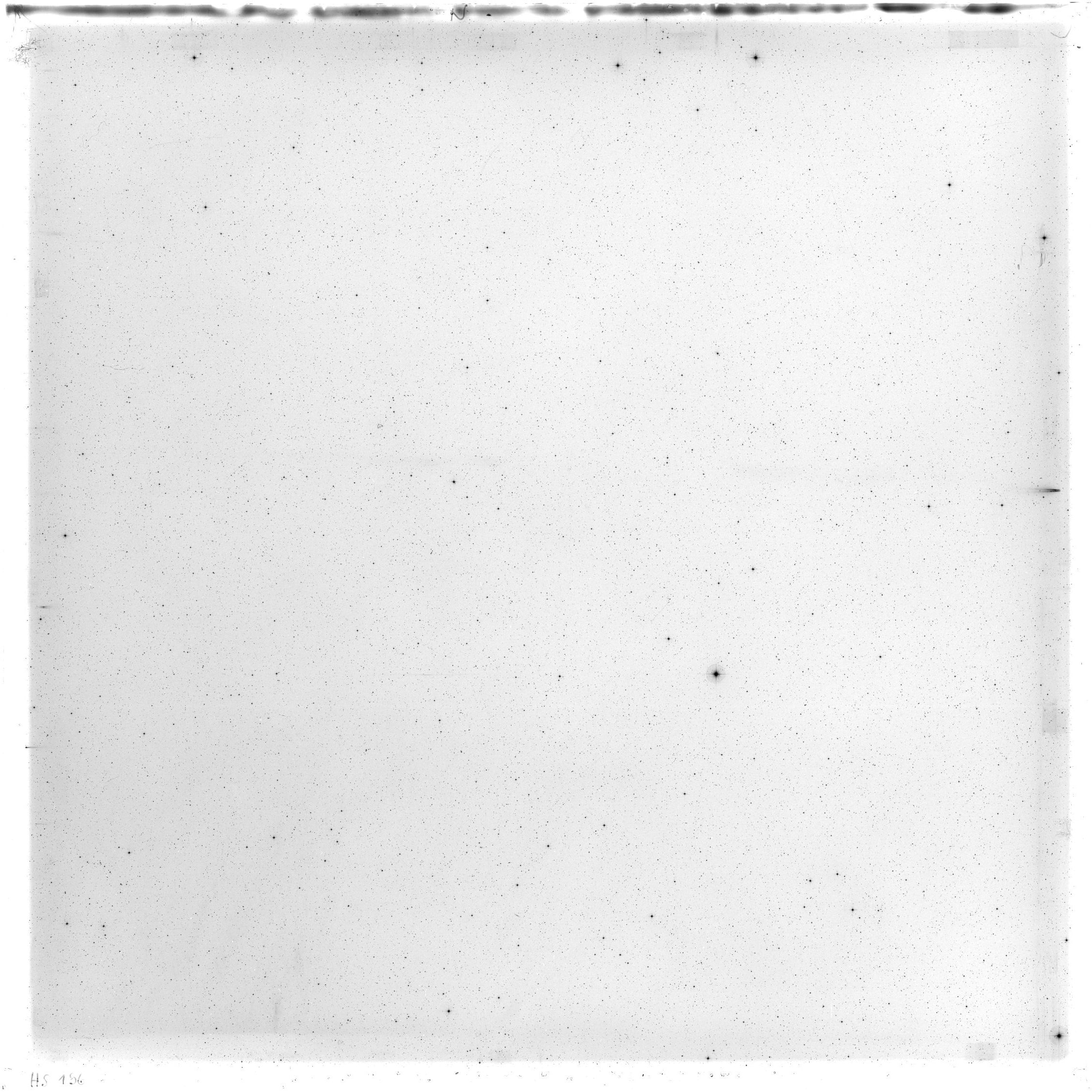 Scan HS00196