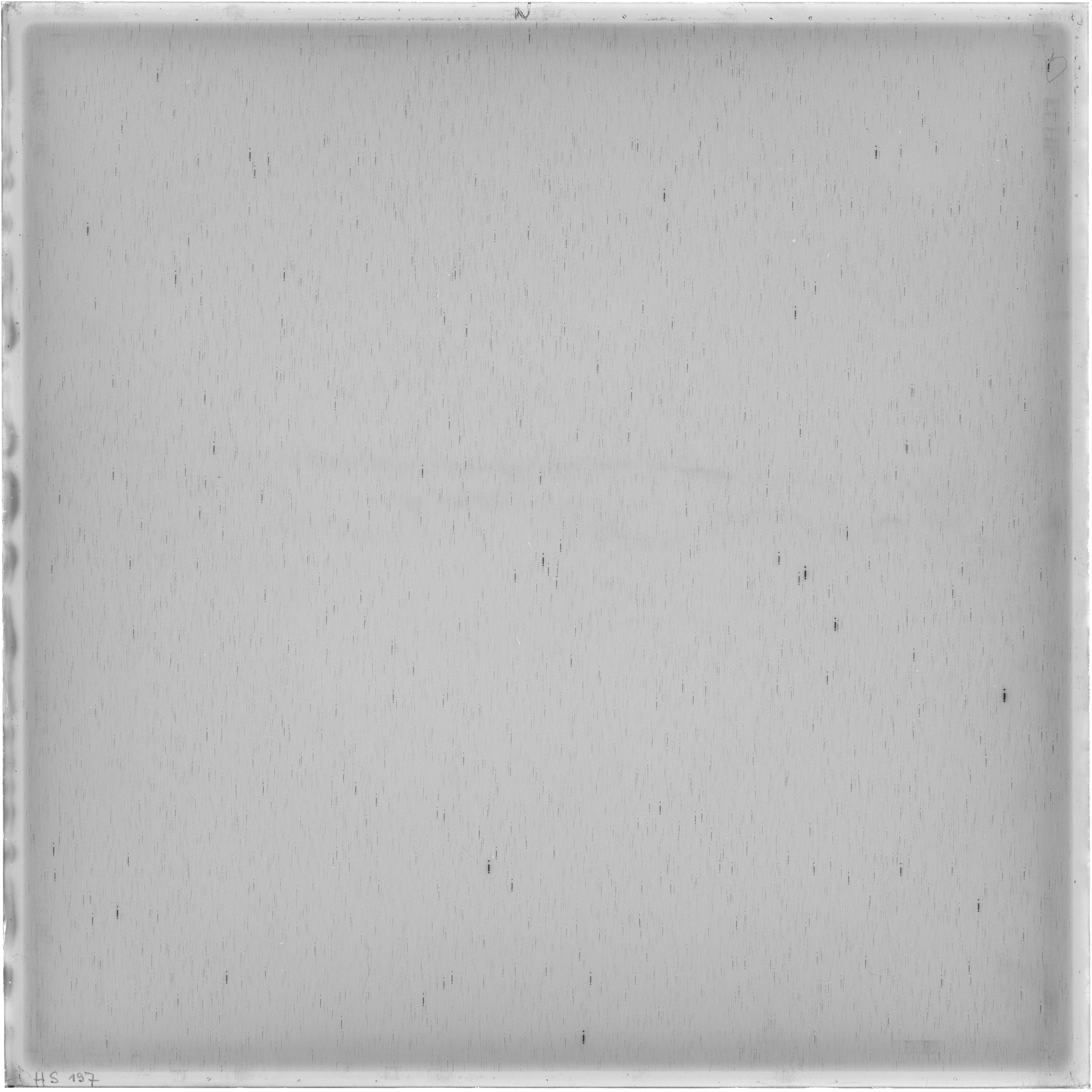 Scan HS00197