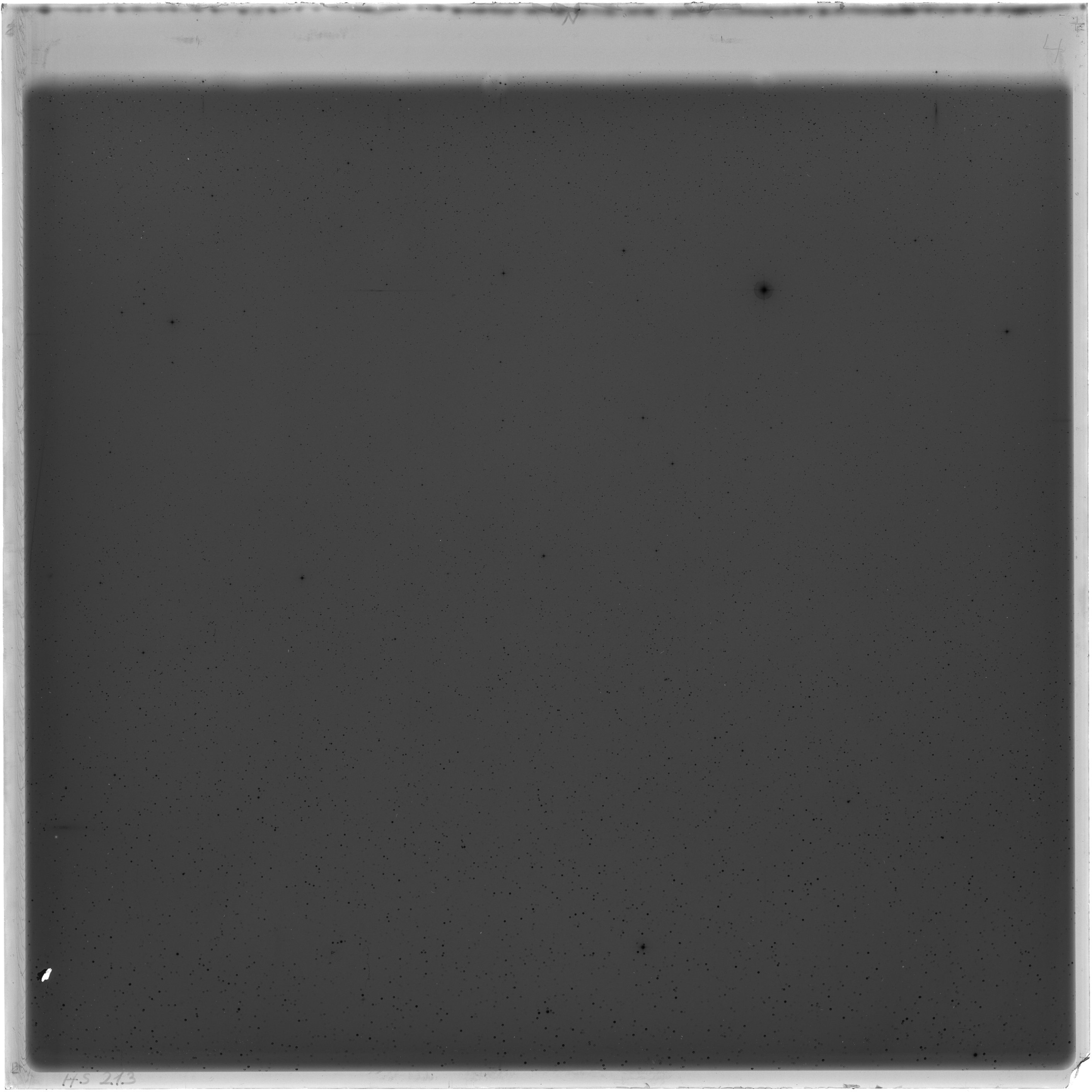 Scan HS00213