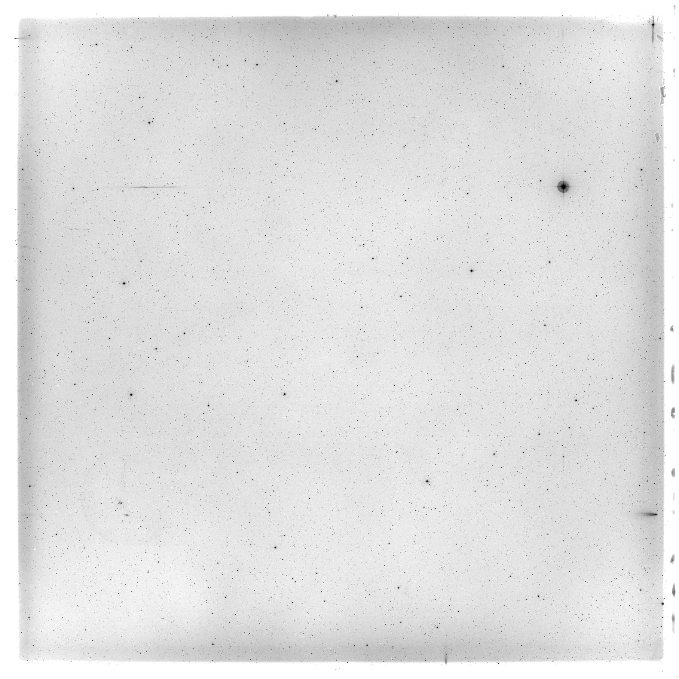 Scan HS00295
