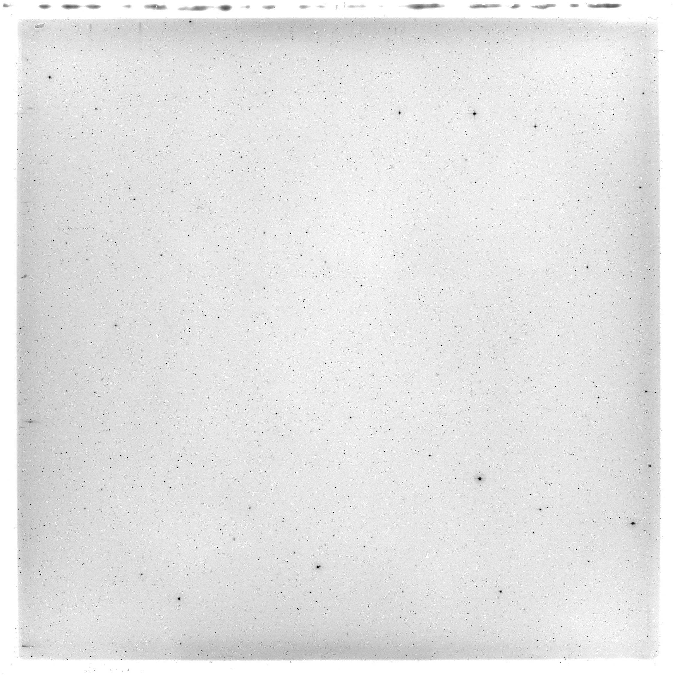 Scan HS00302