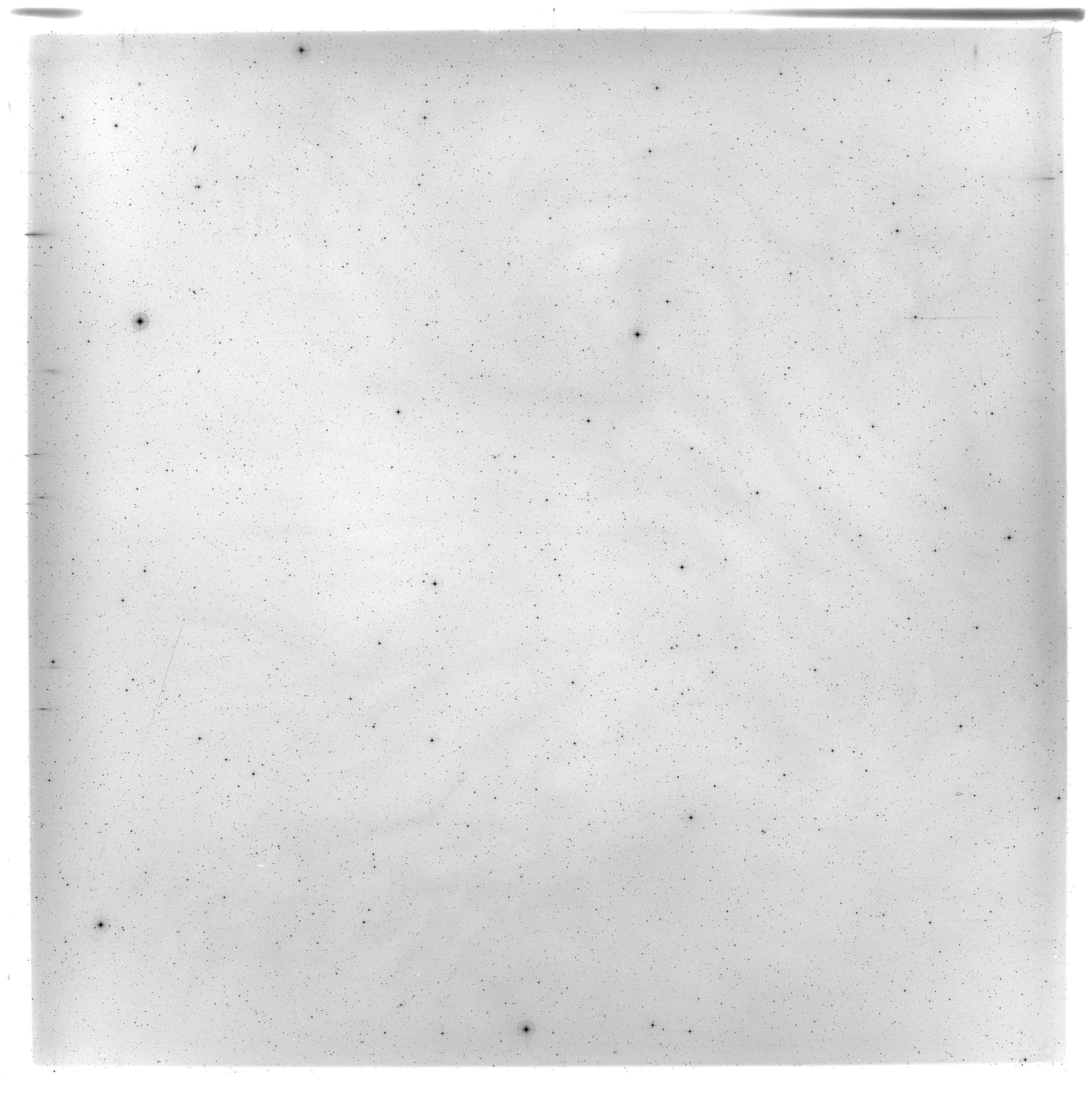 Scan HS00307