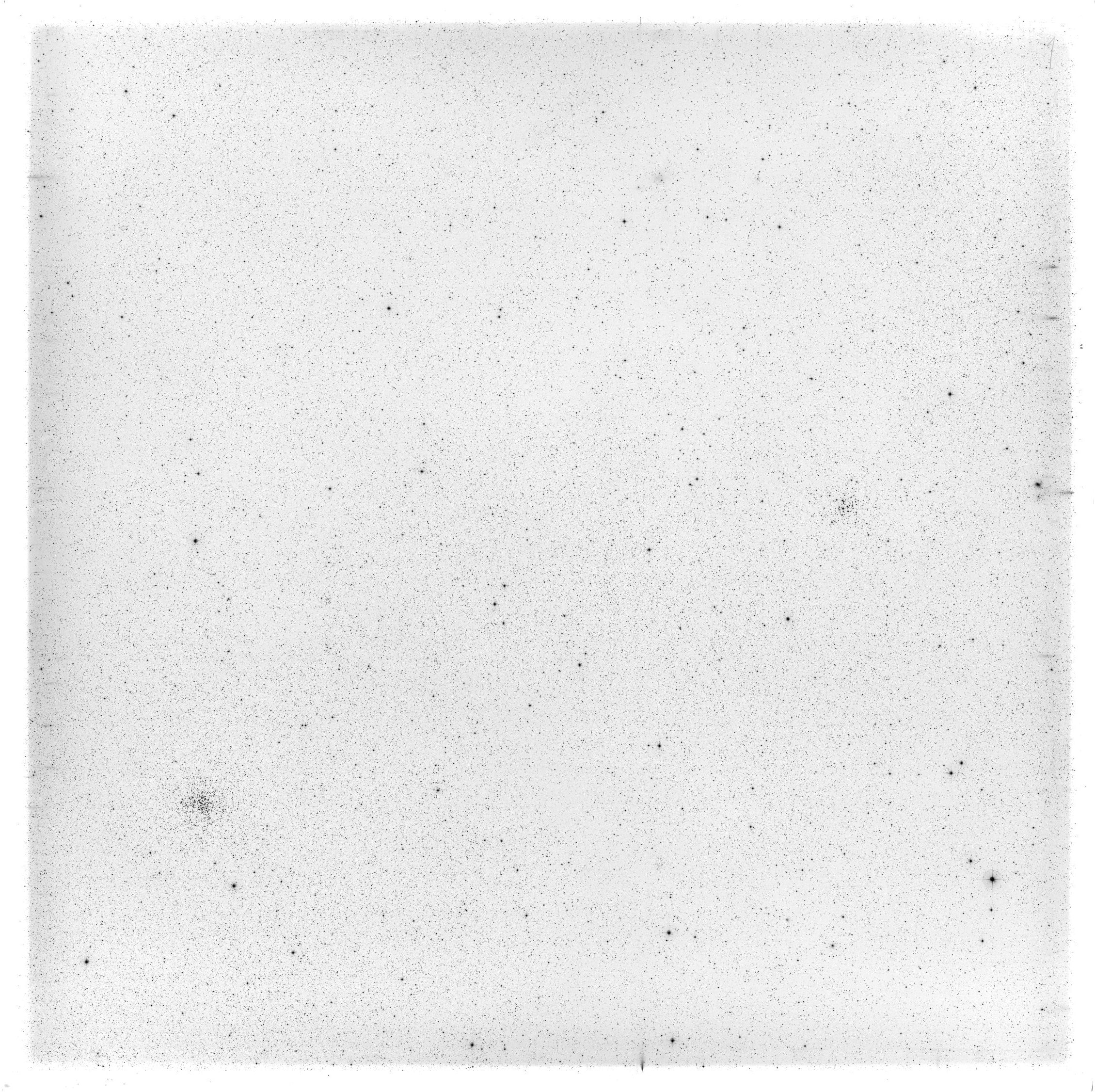 Scan HS00425