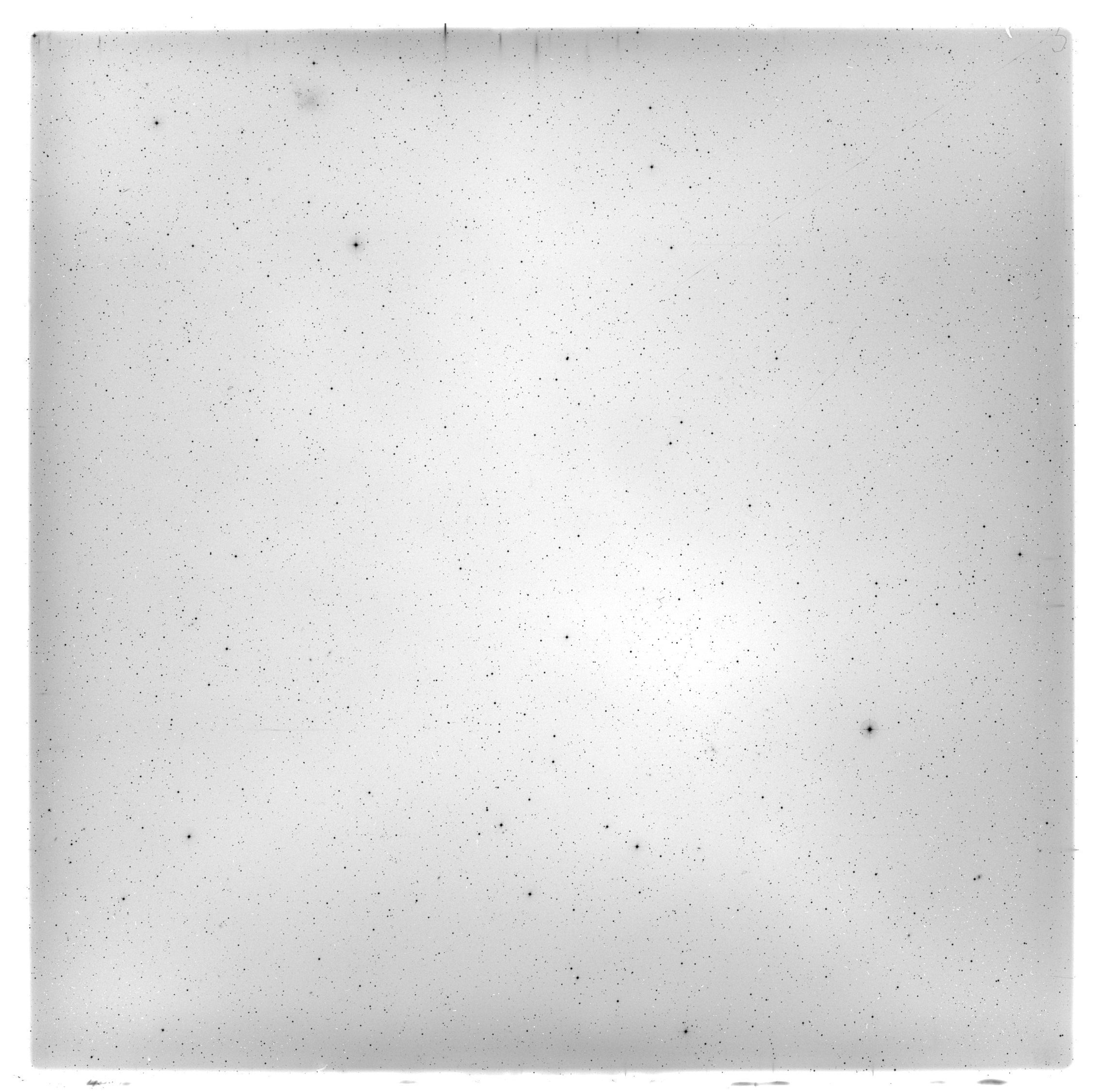 Scan HS00440