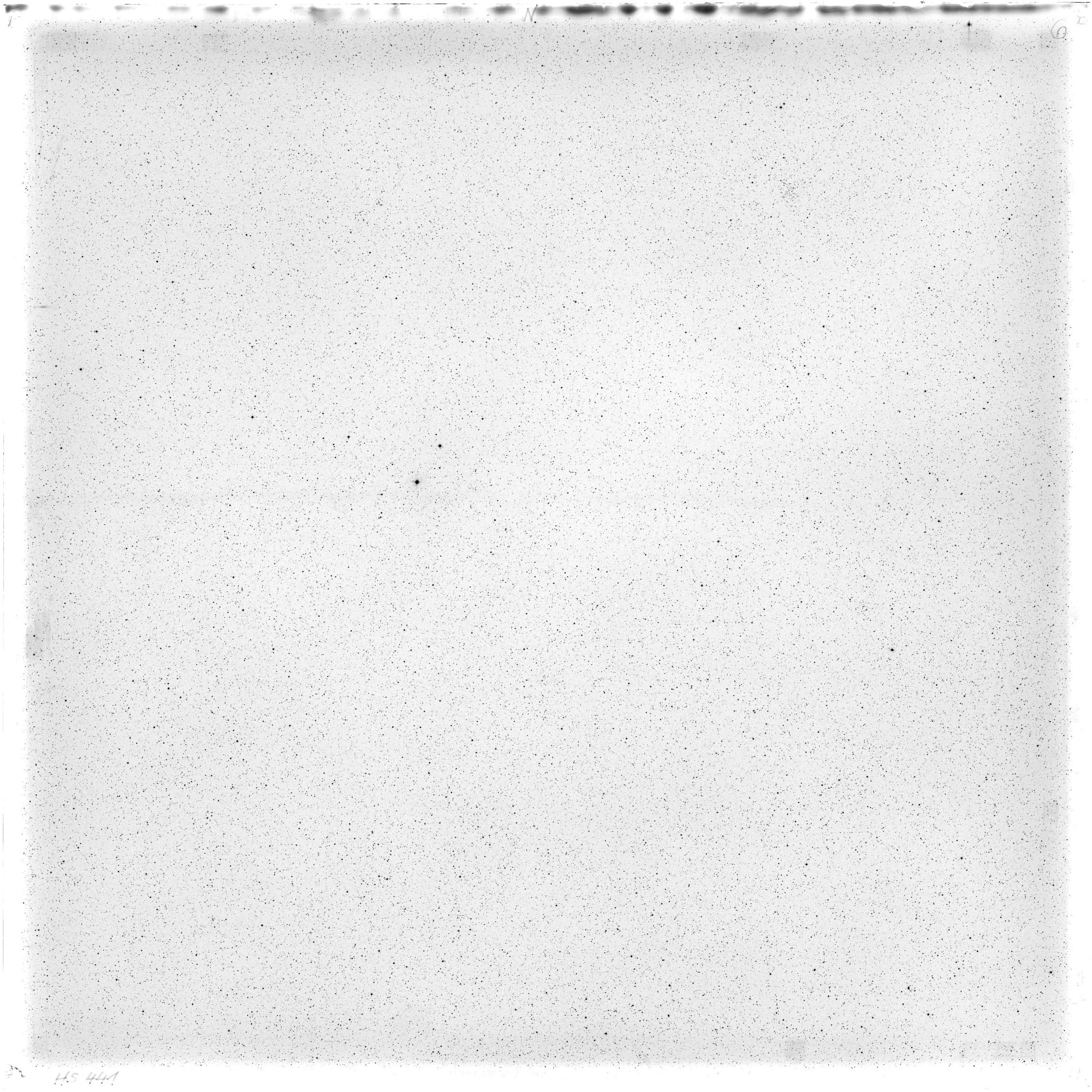 Scan HS00441