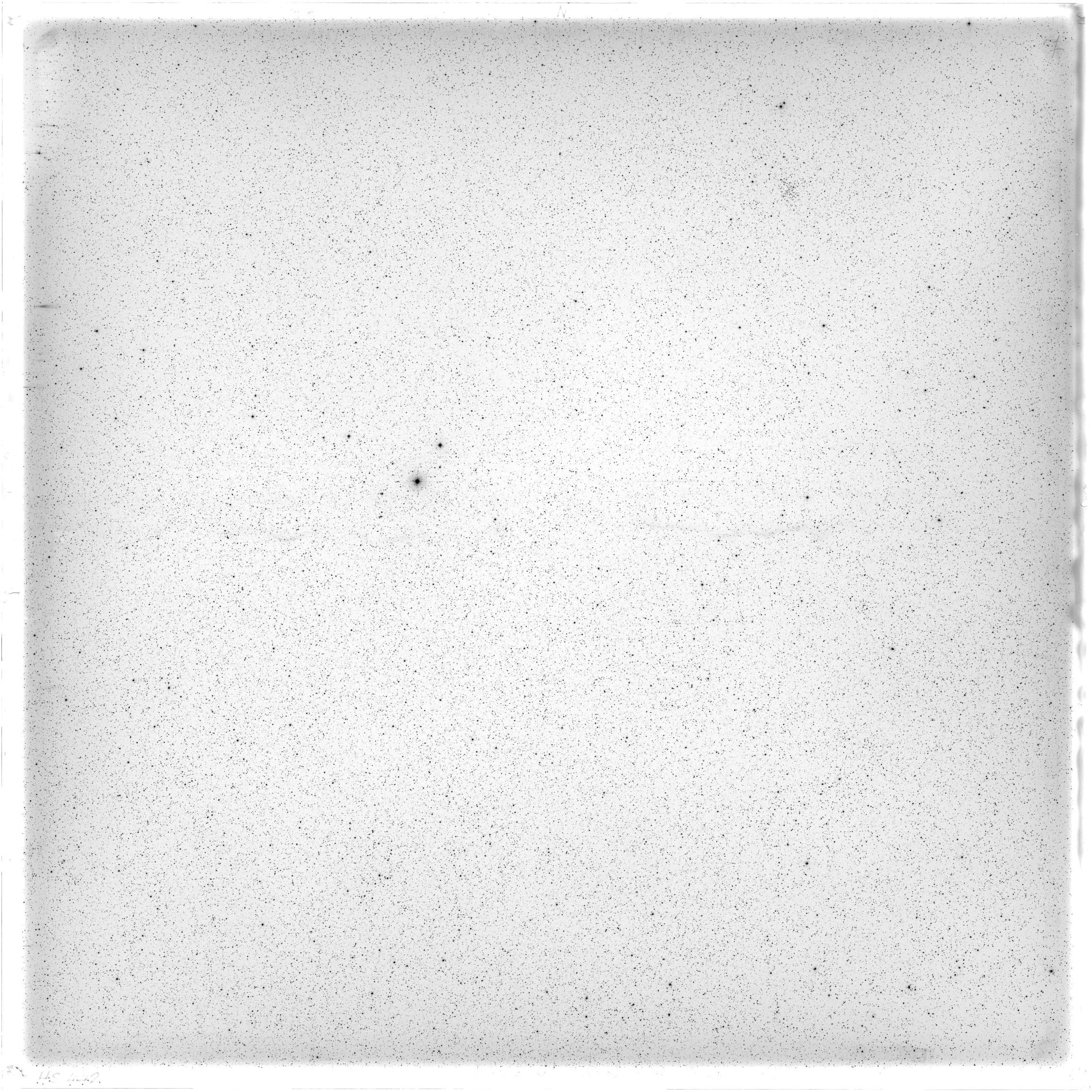 Scan HS00442