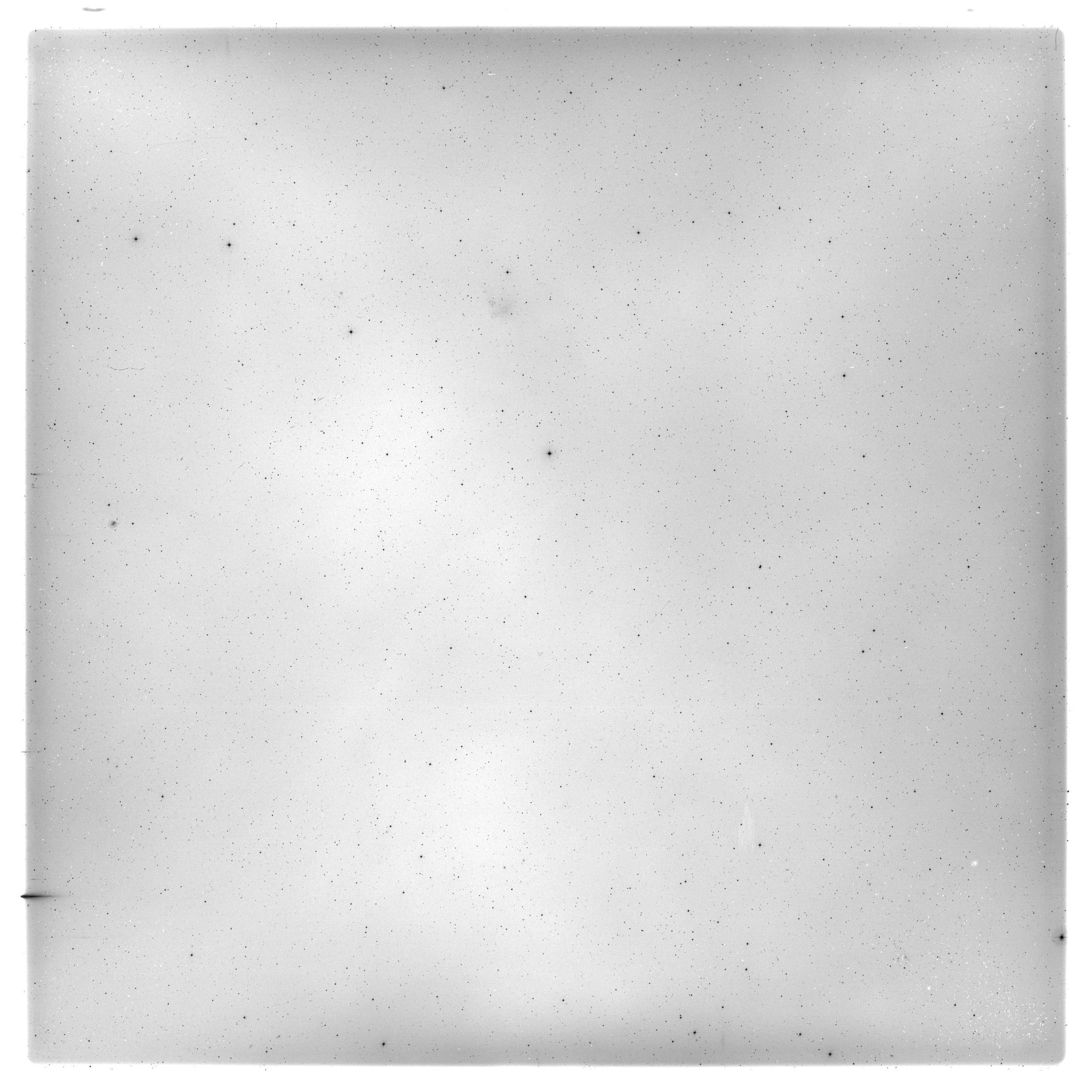 Scan HS00499