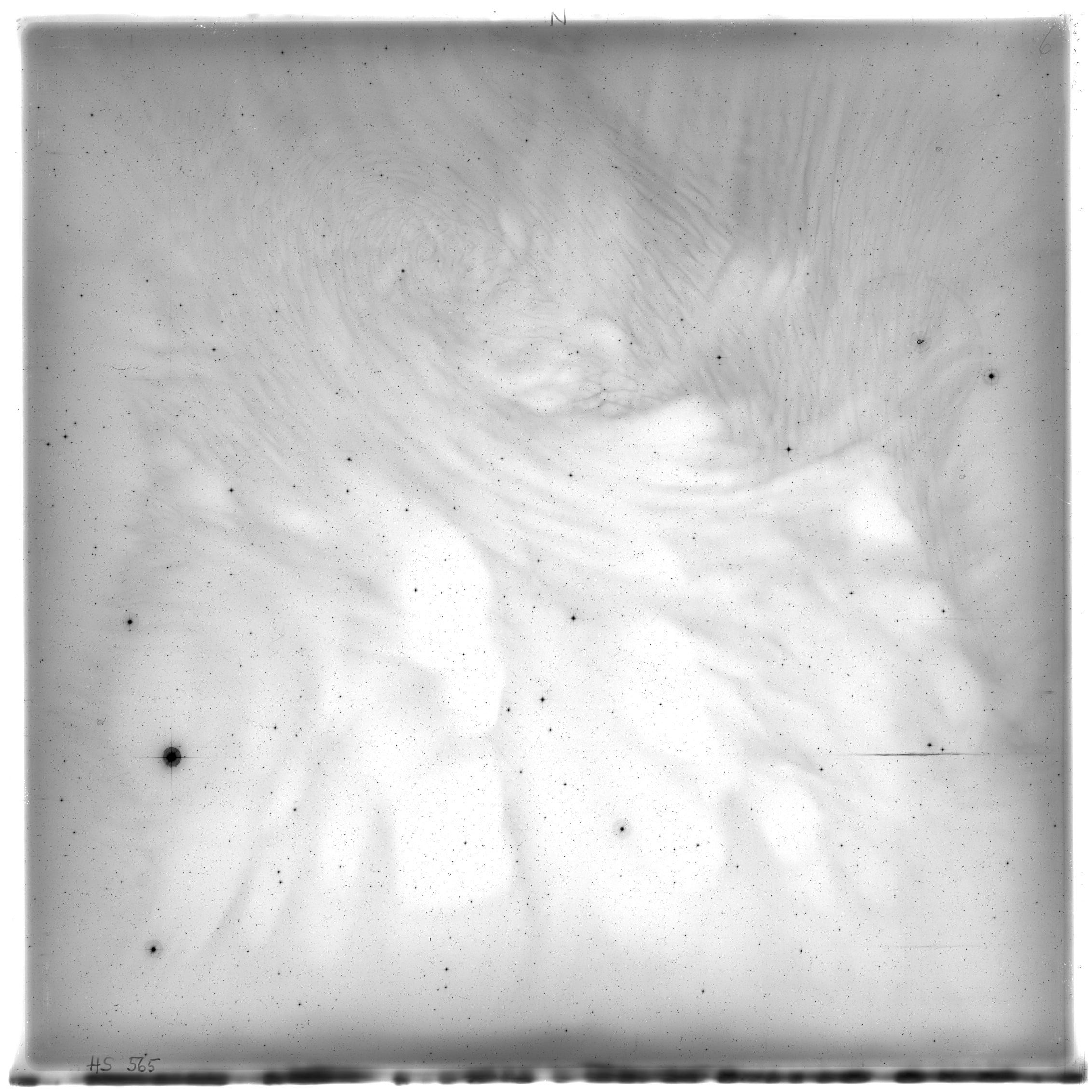 Scan HS00565