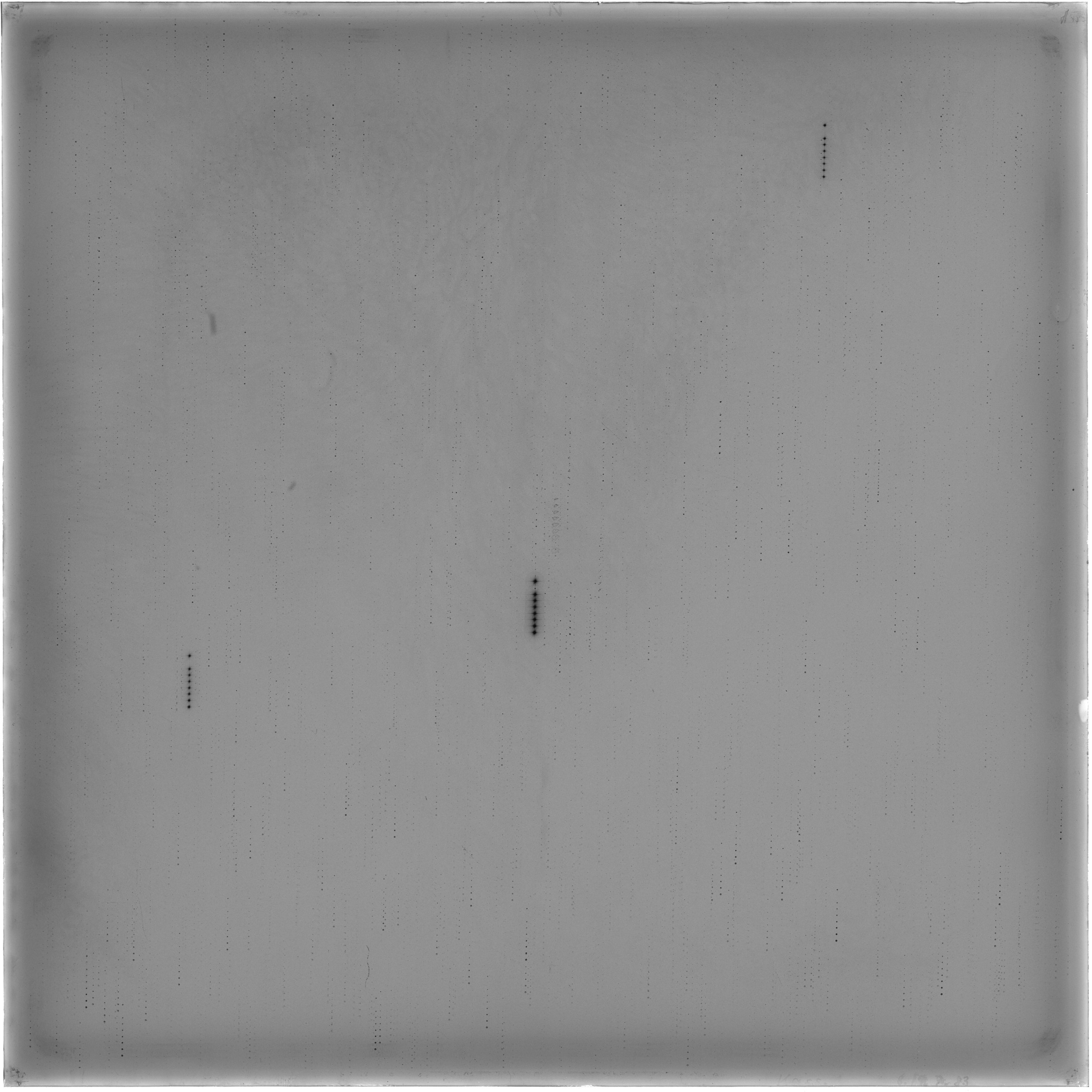 Scan HS00597