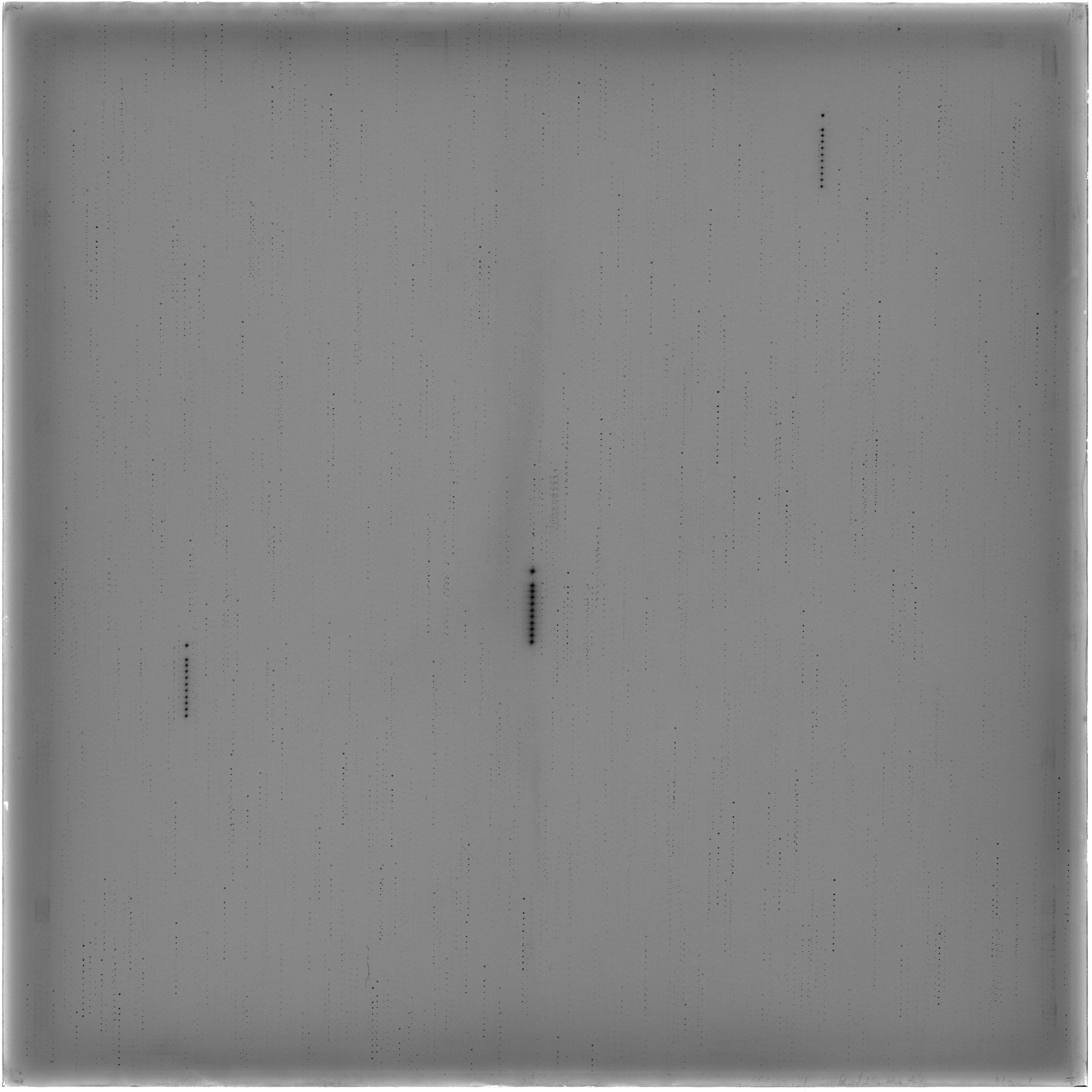 Scan HS00598