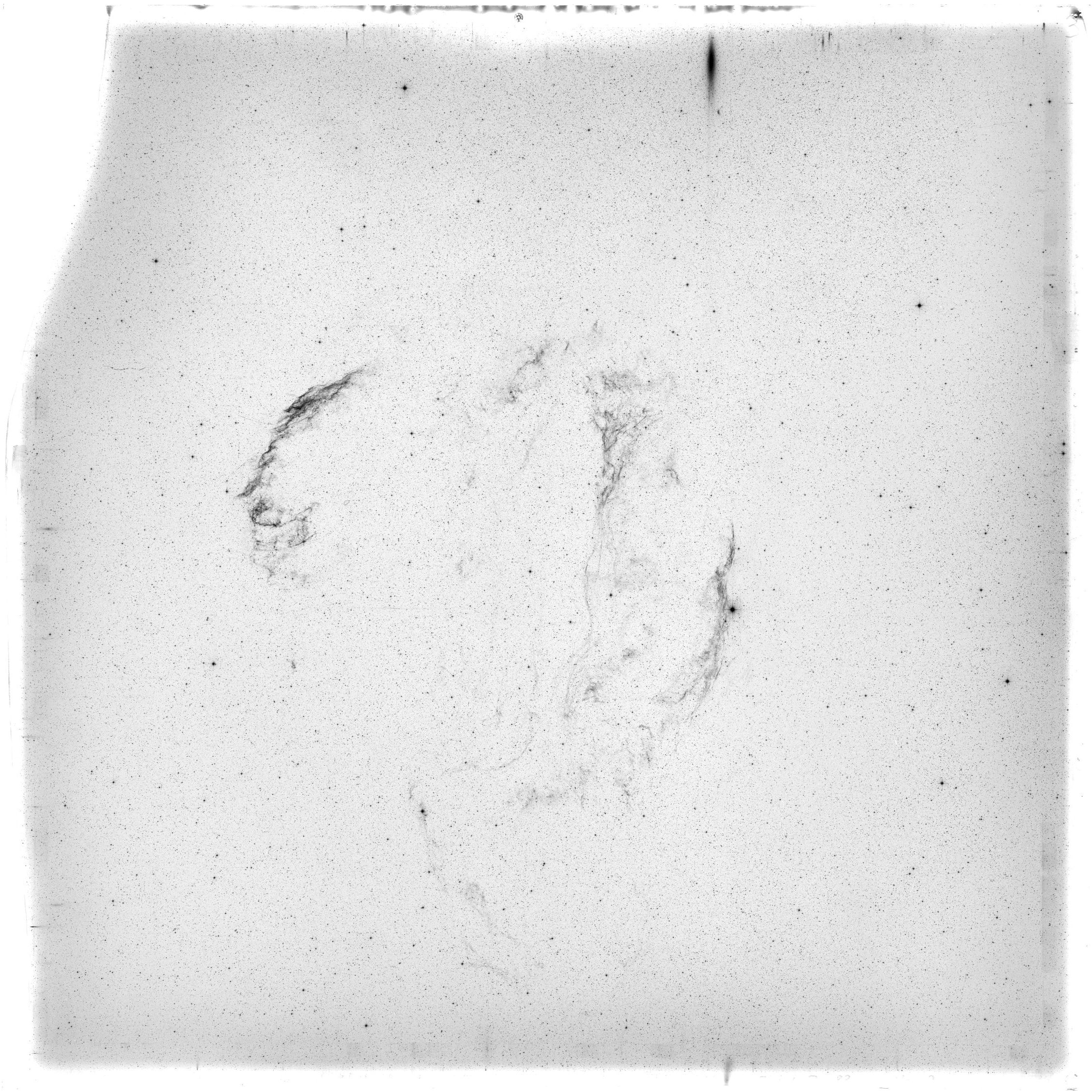 Scan HS00613
