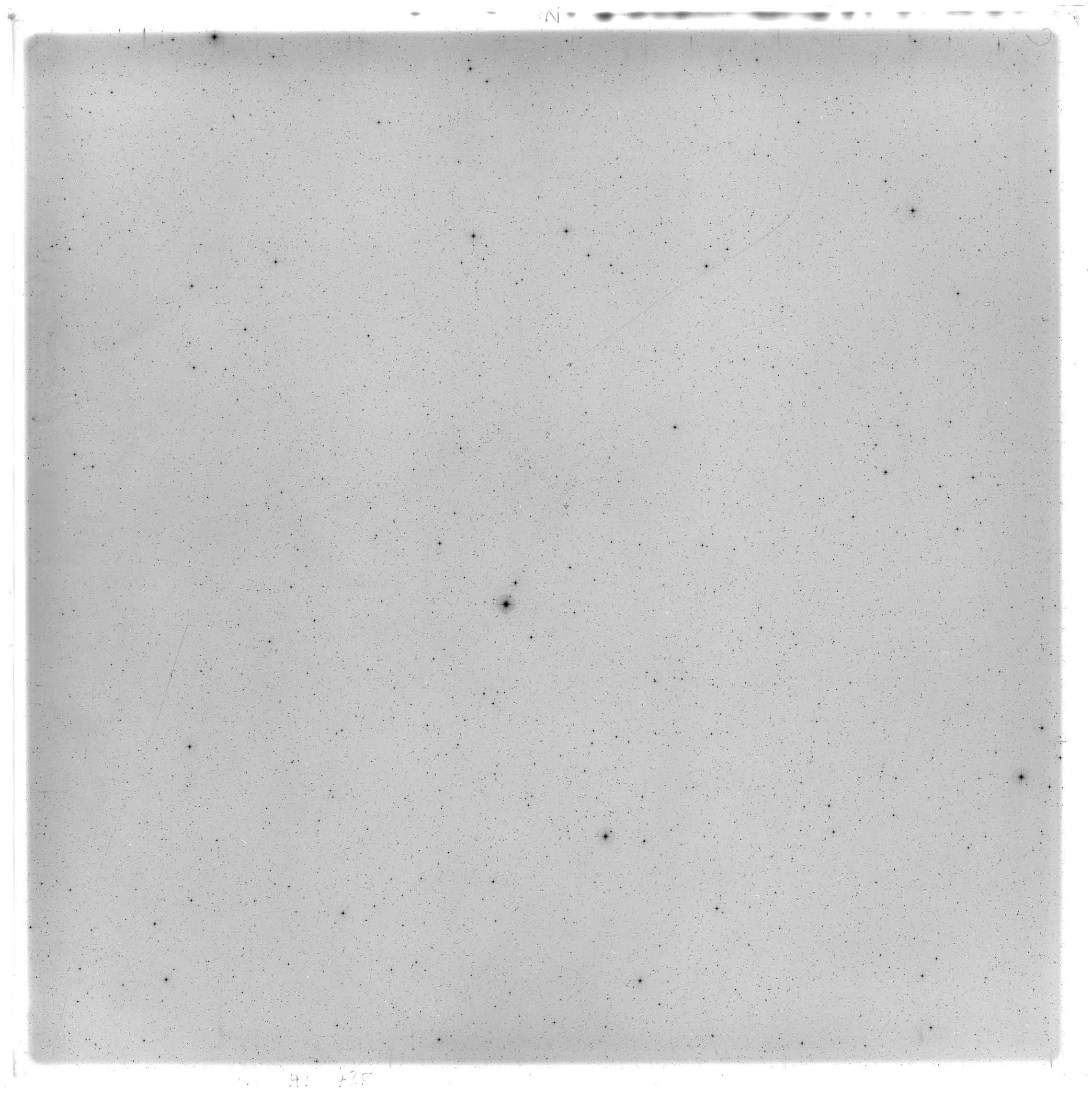 Scan HS00725