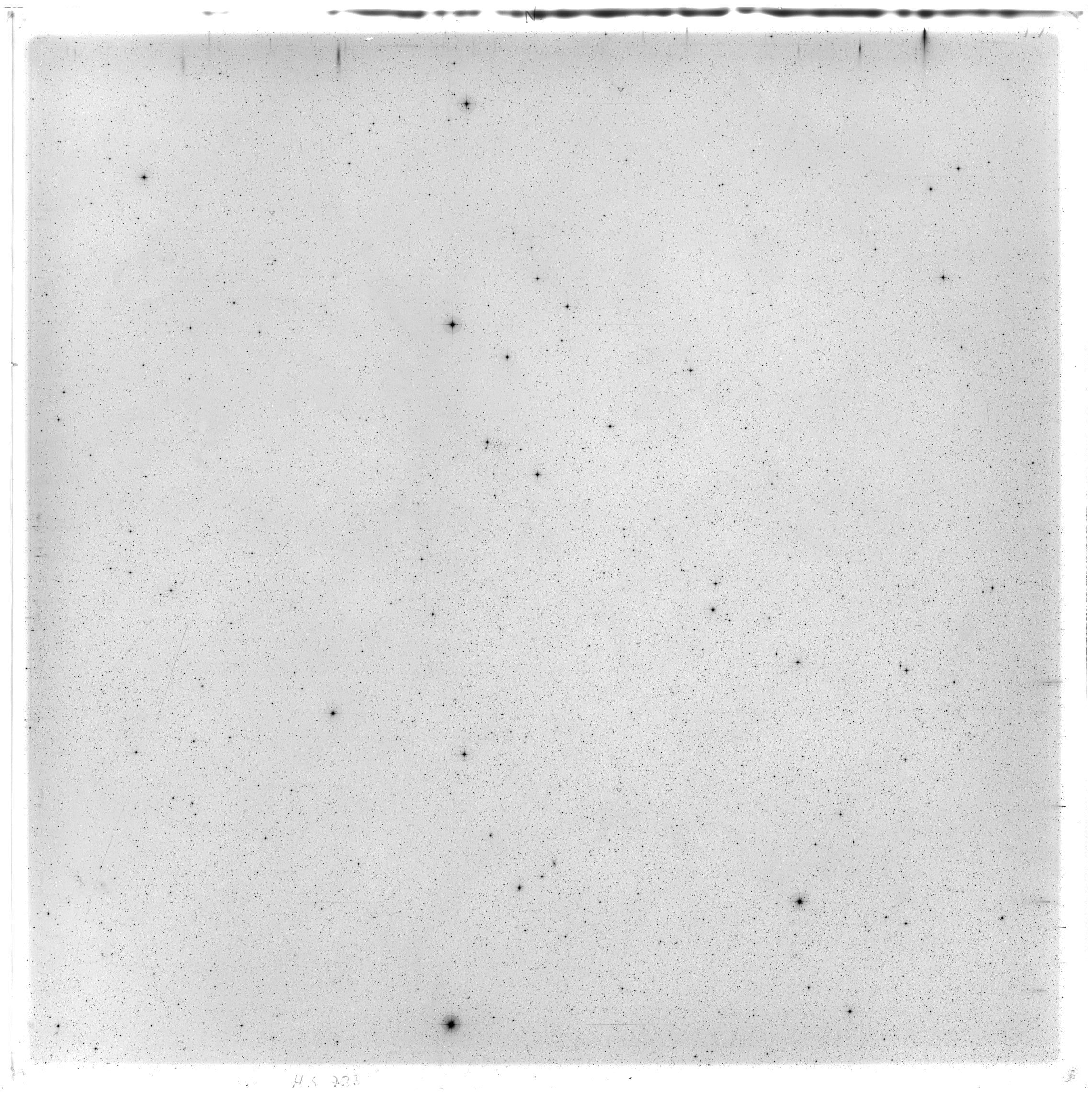 Scan HS00733