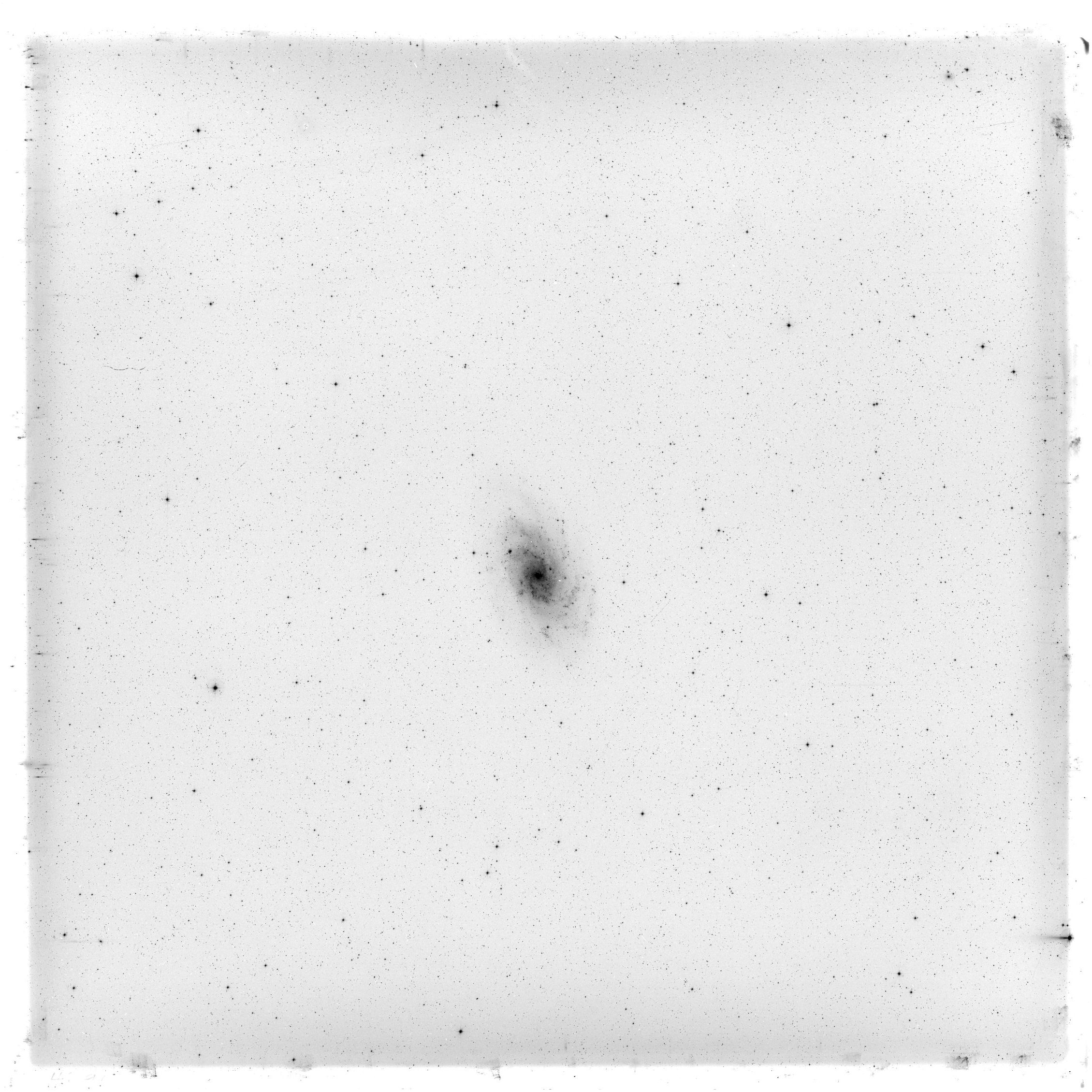 Scan HS00918