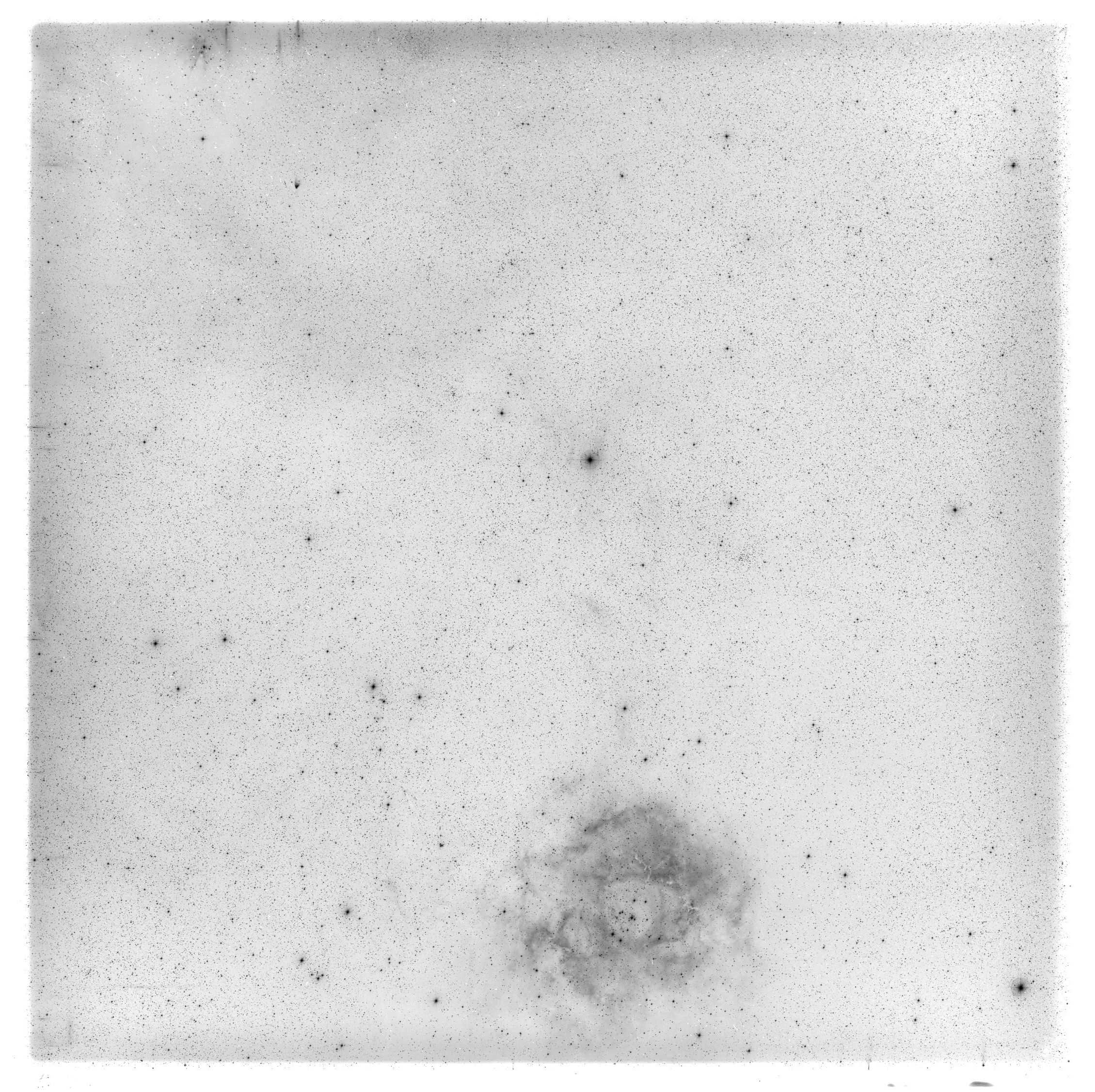 Scan HS00921