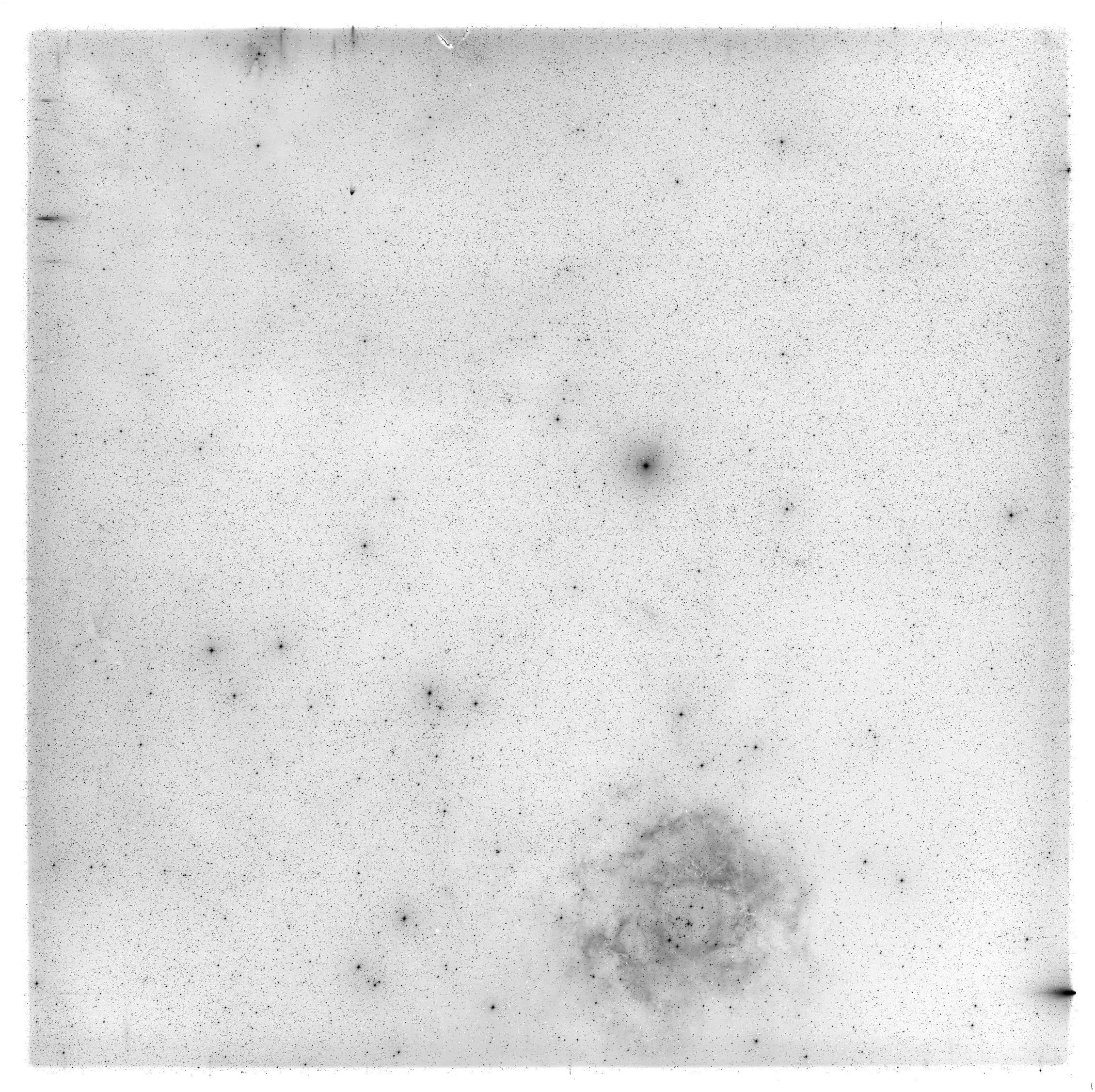 Scan HS00929