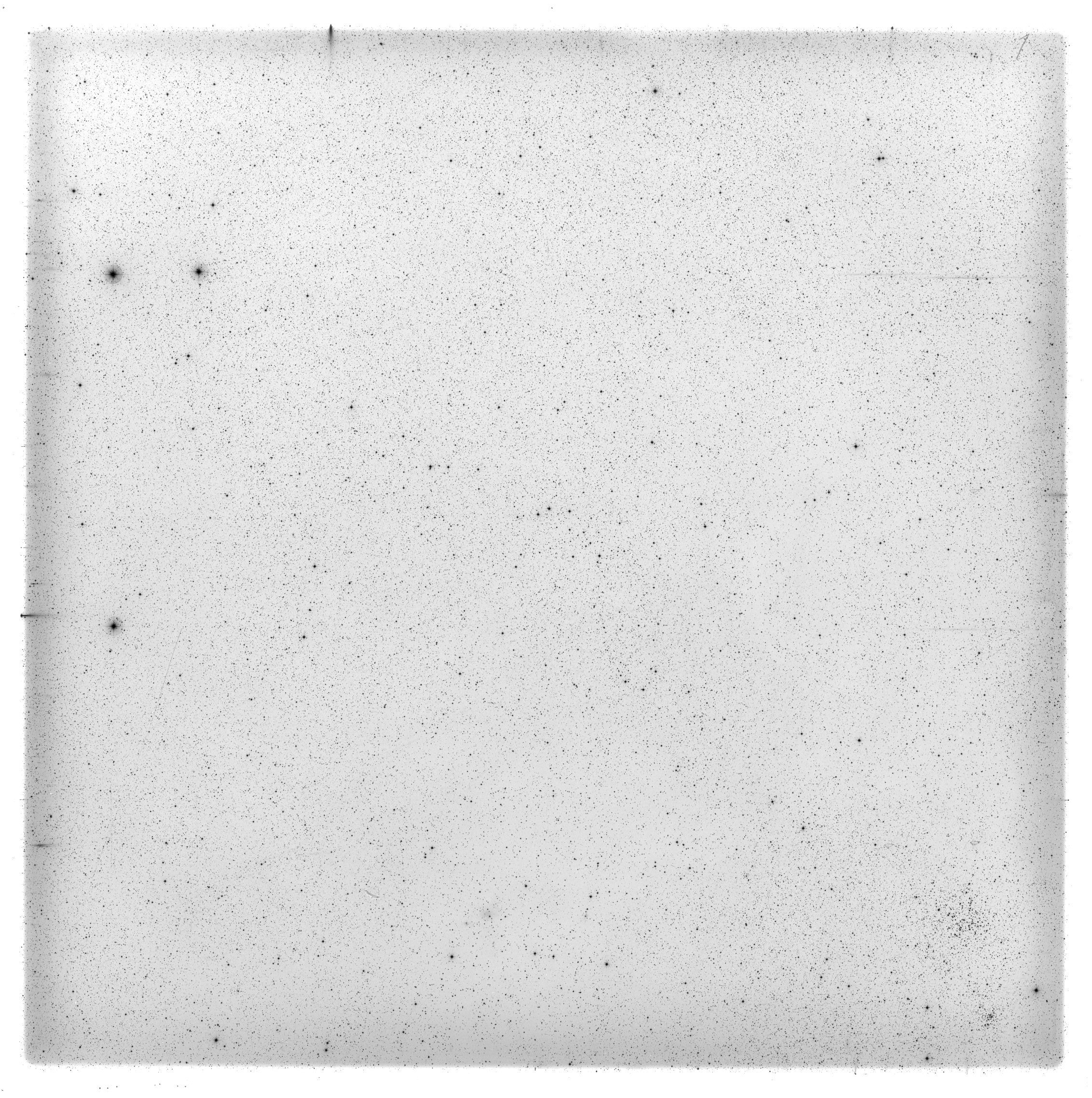 Scan HS01013