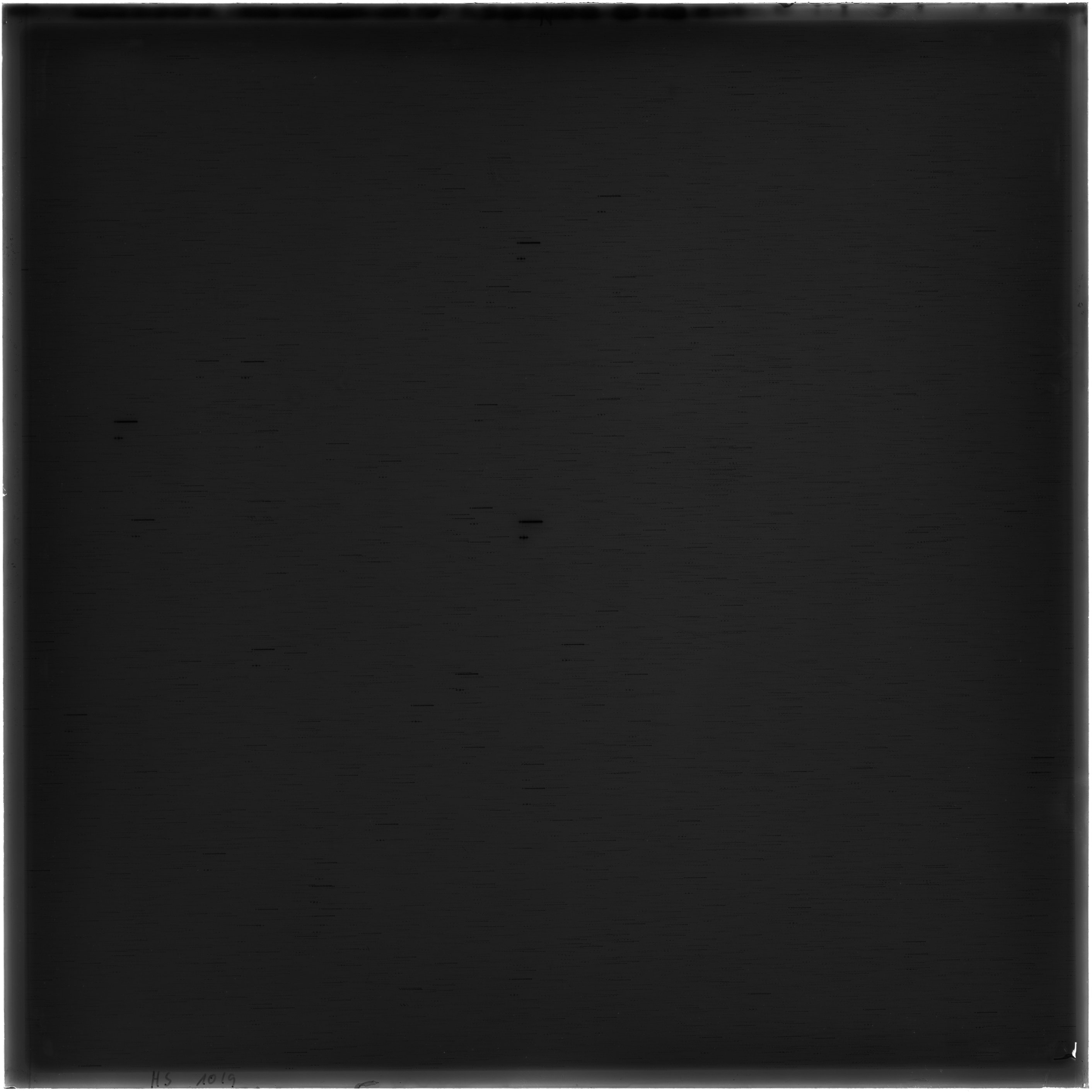 Scan HS01019