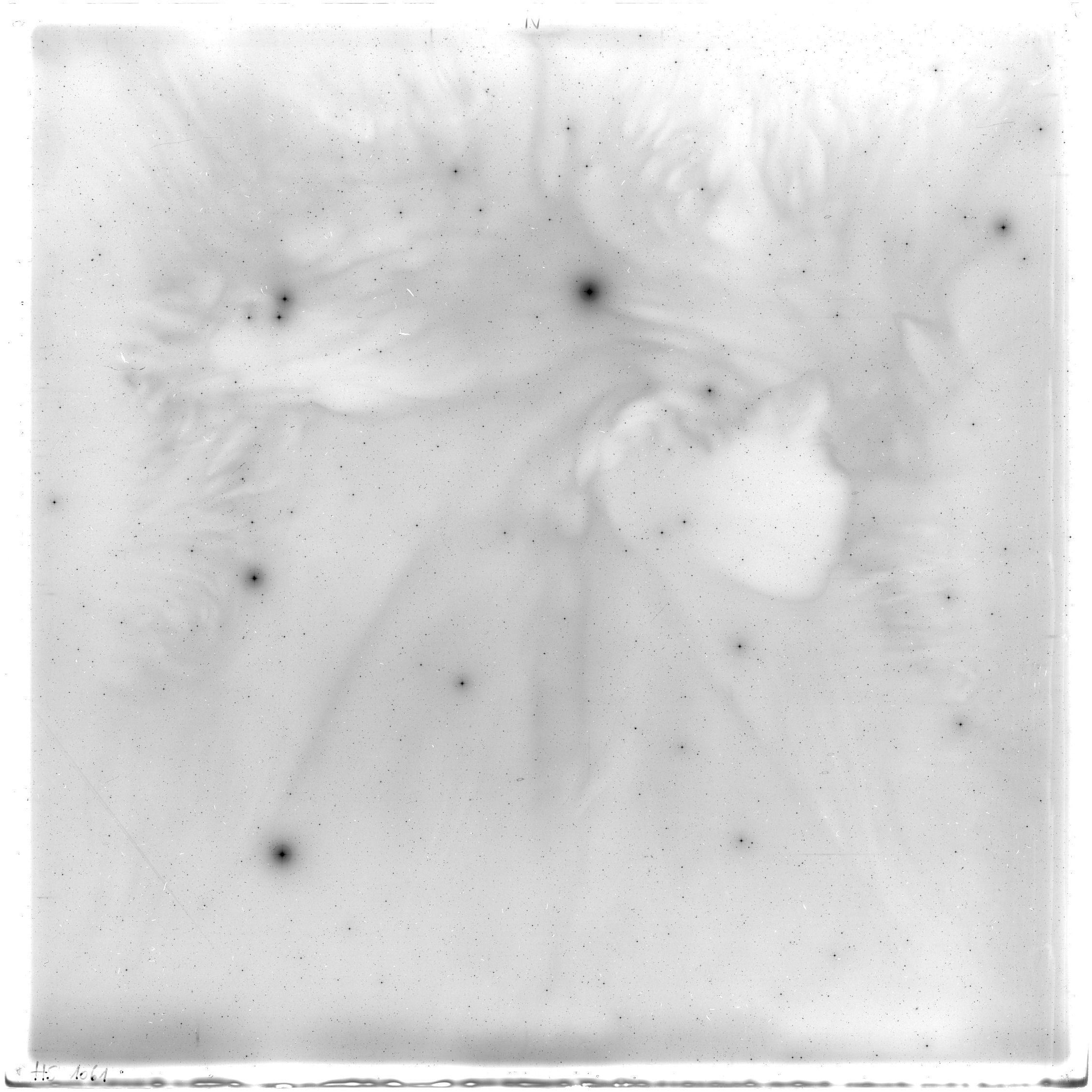 Scan HS01061