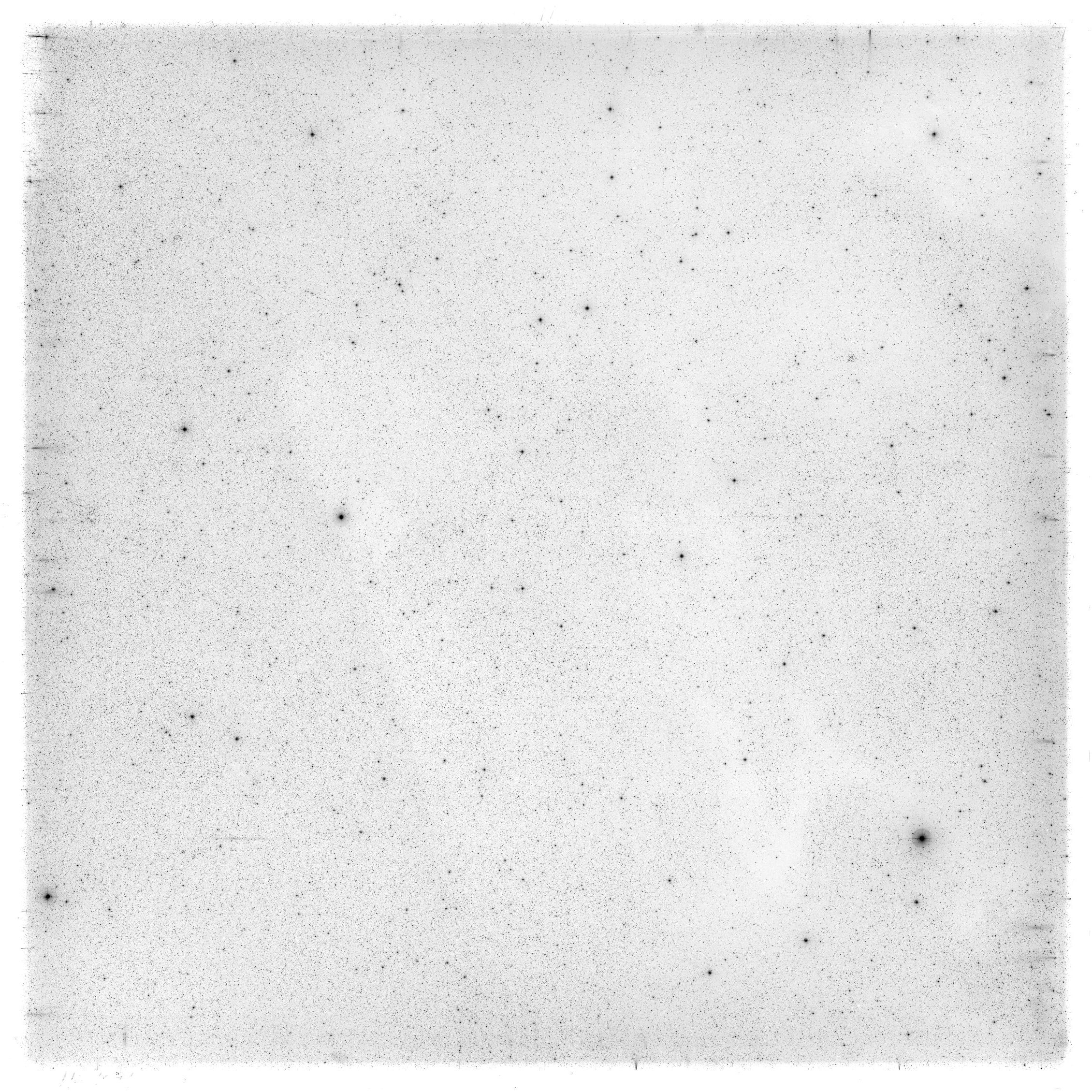 Scan HS01081