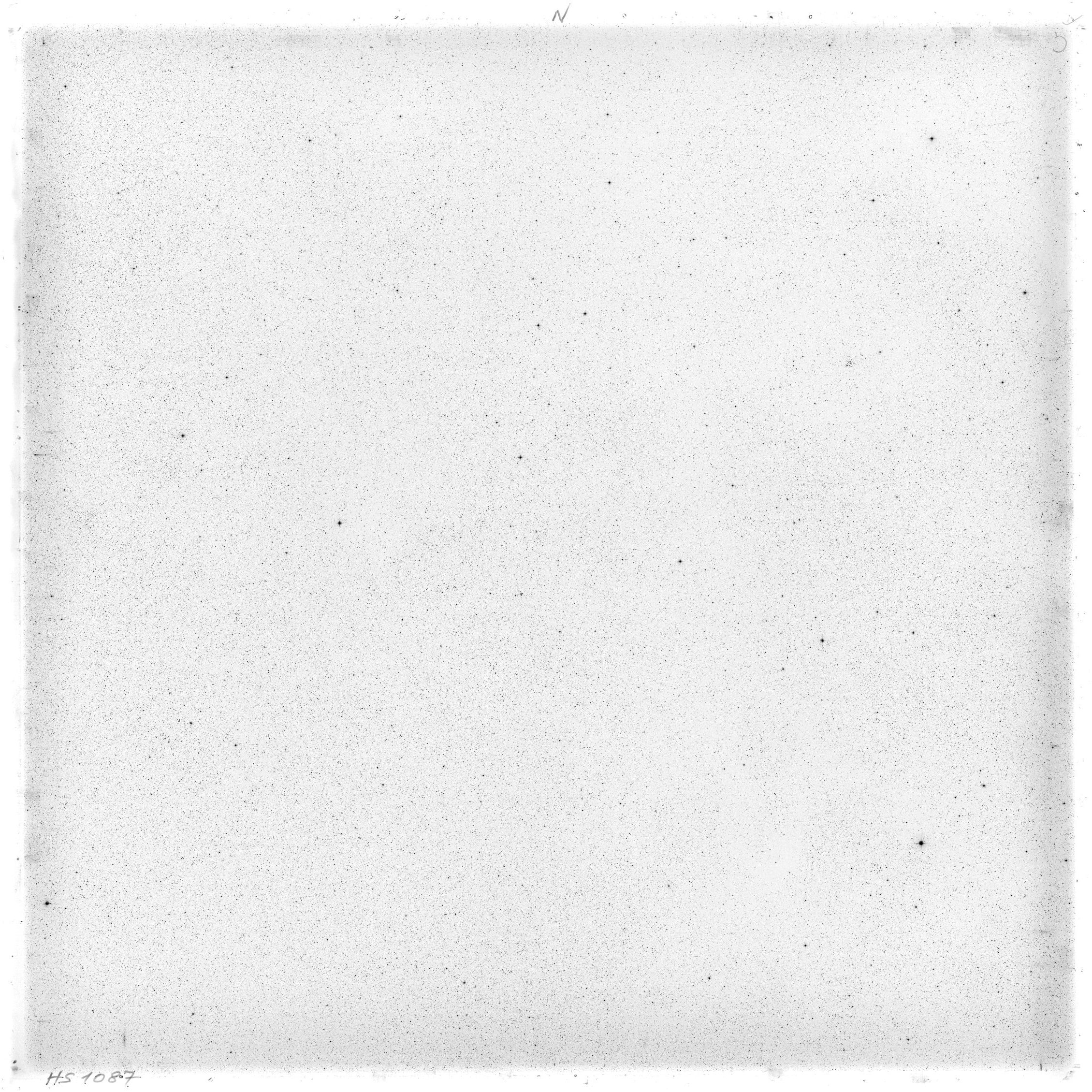 Scan HS01087