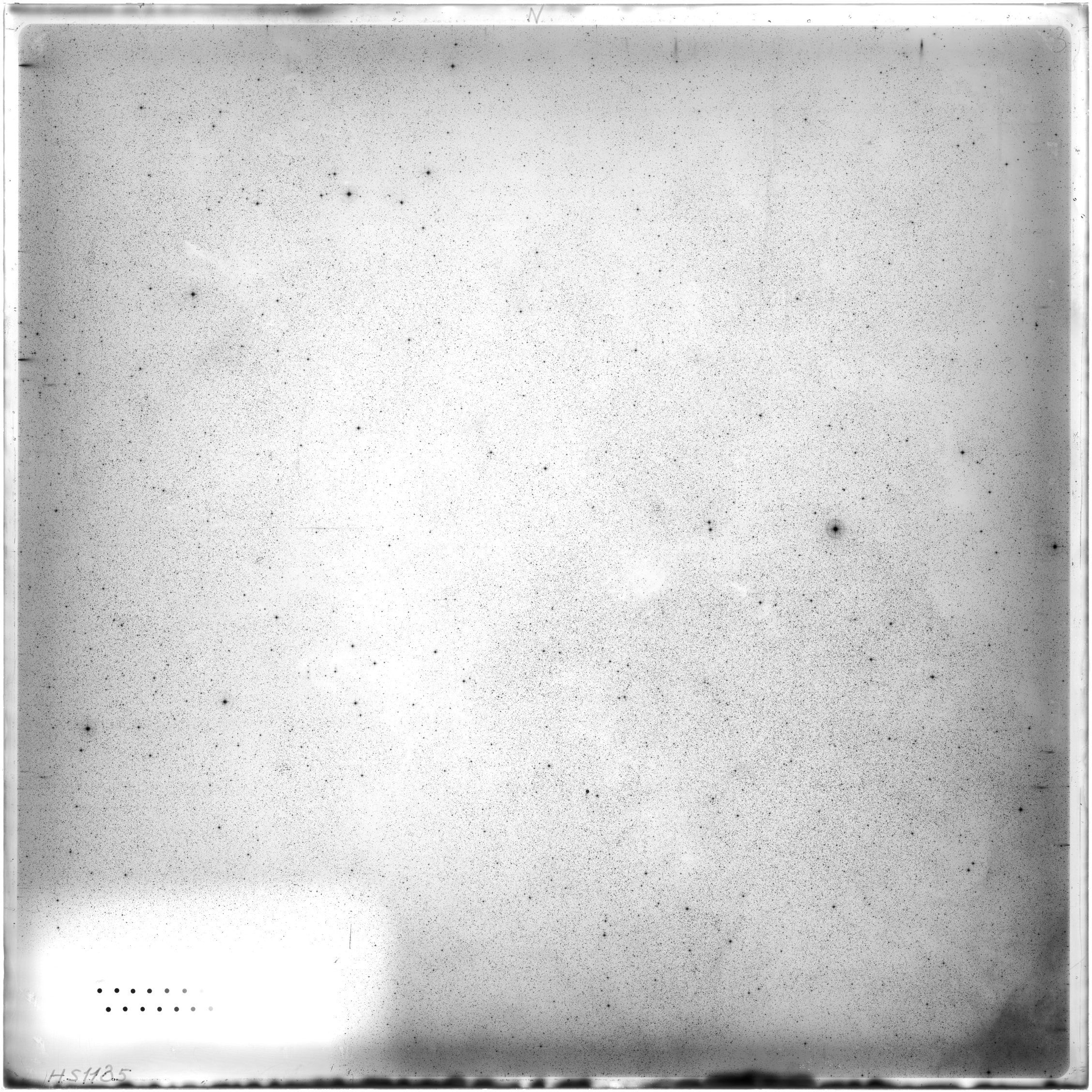 Scan HS01135