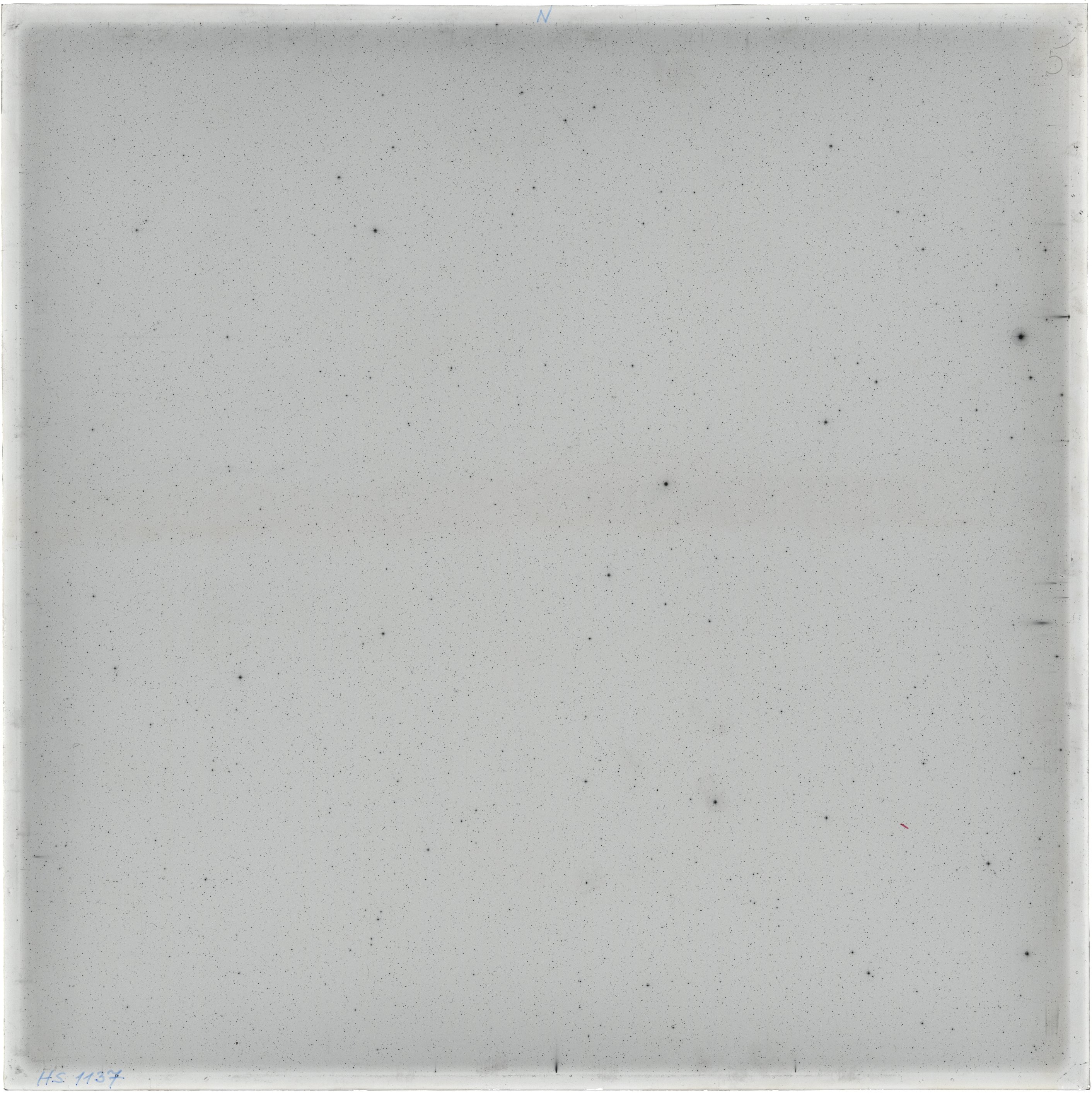 Scan HS01137